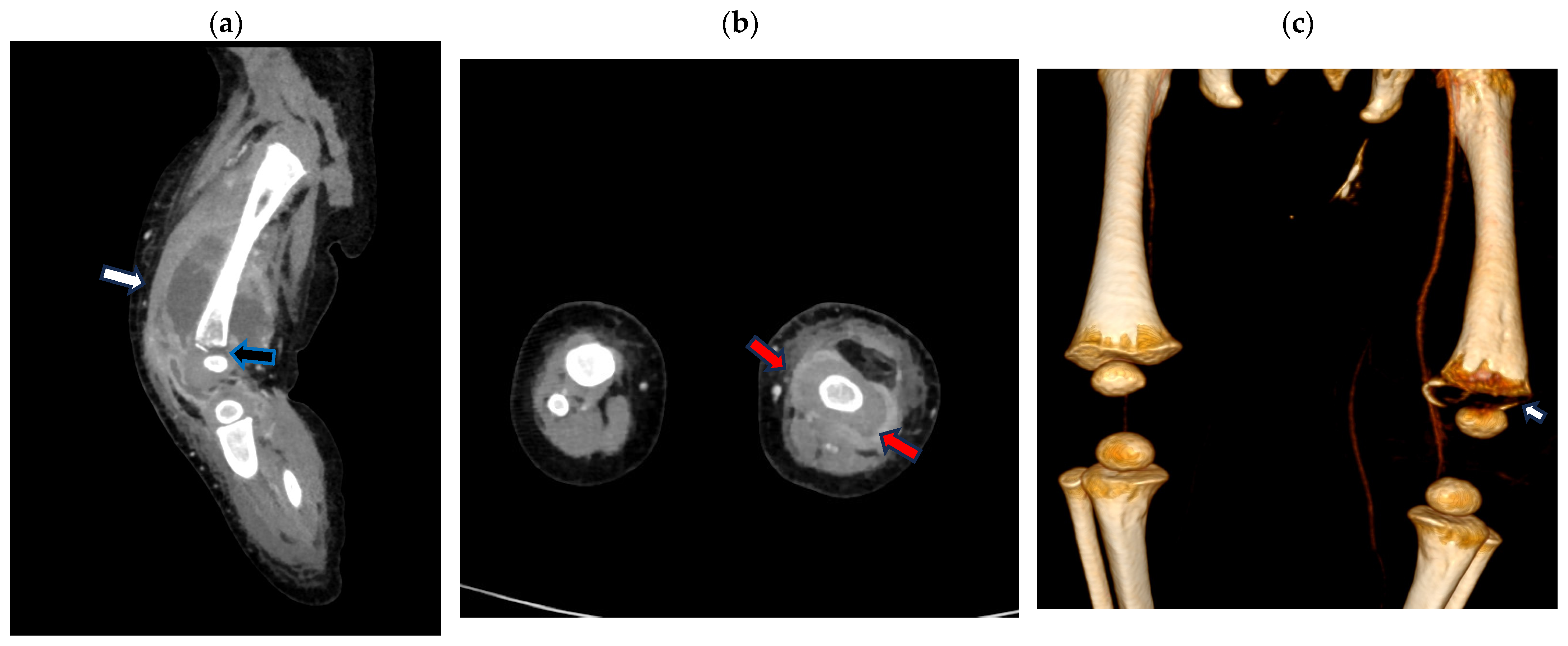 Pathogens 13 00972 g002