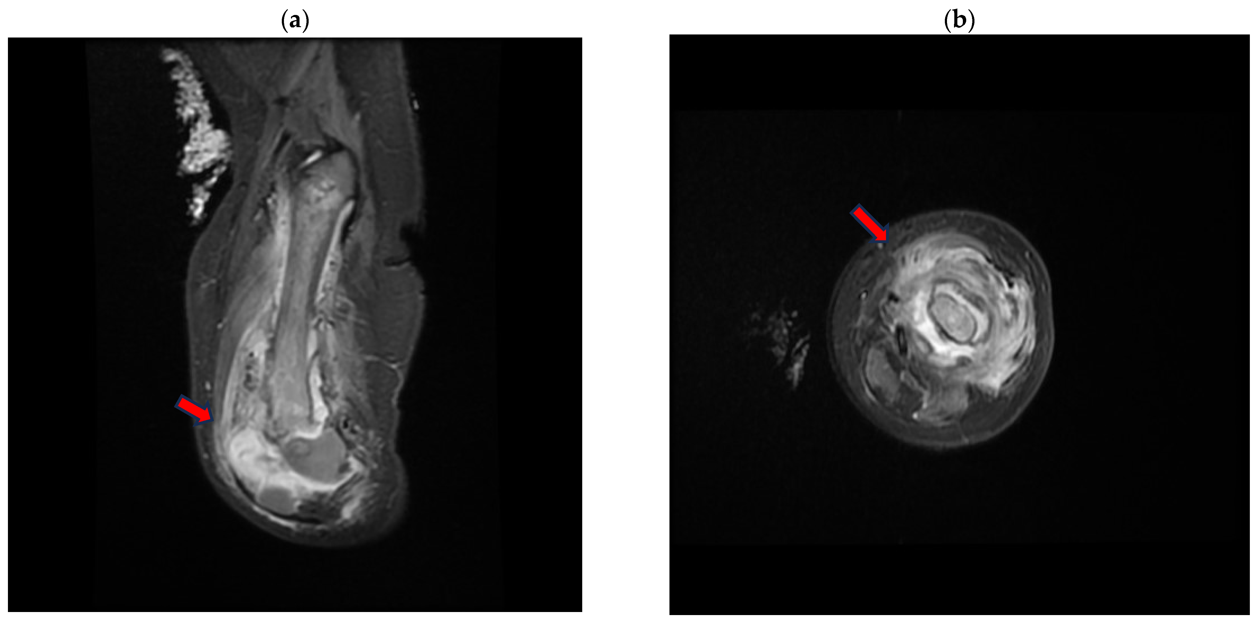 Pathogens 13 00972 g003