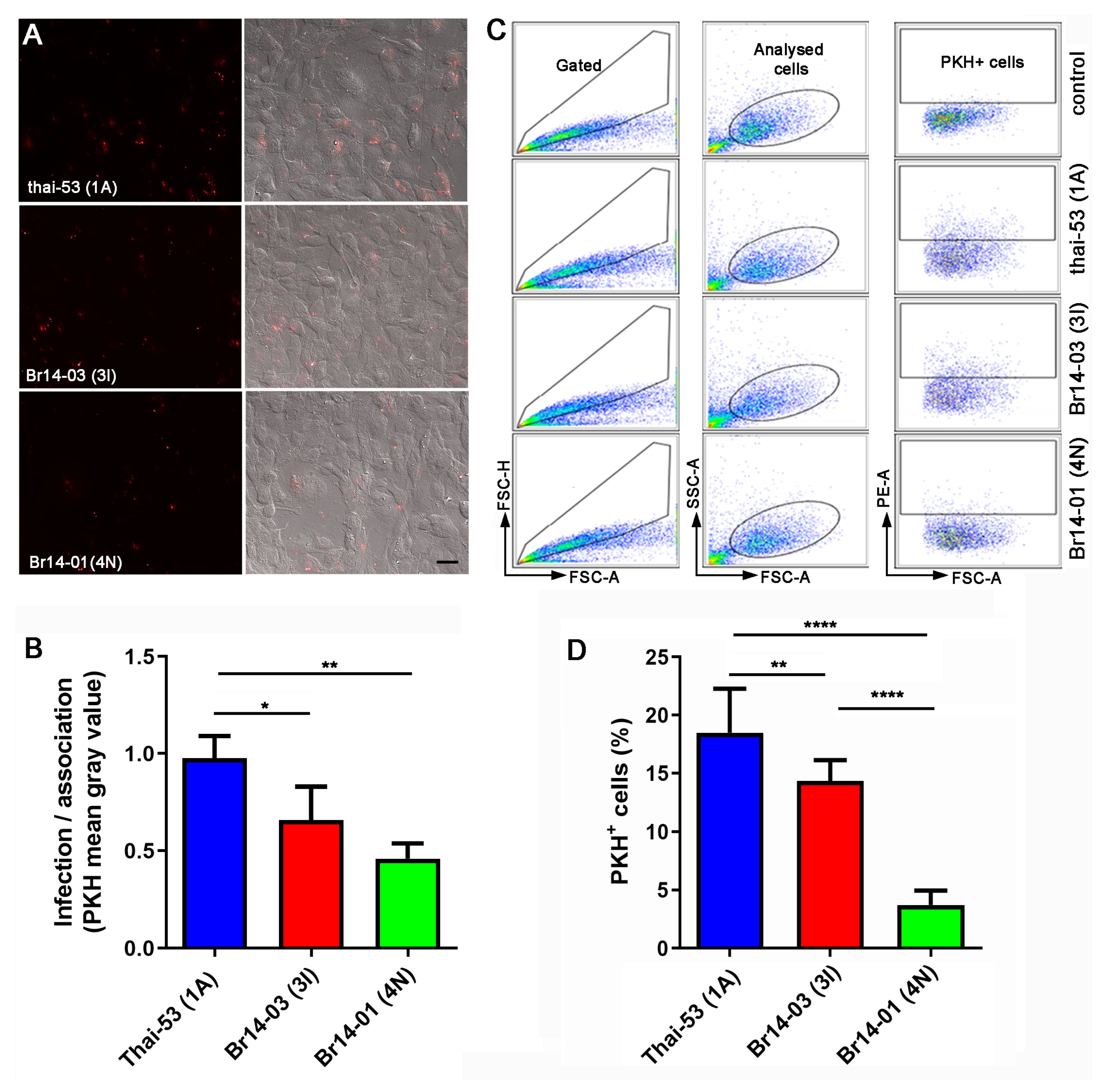 Pathogens 13 00986 g002