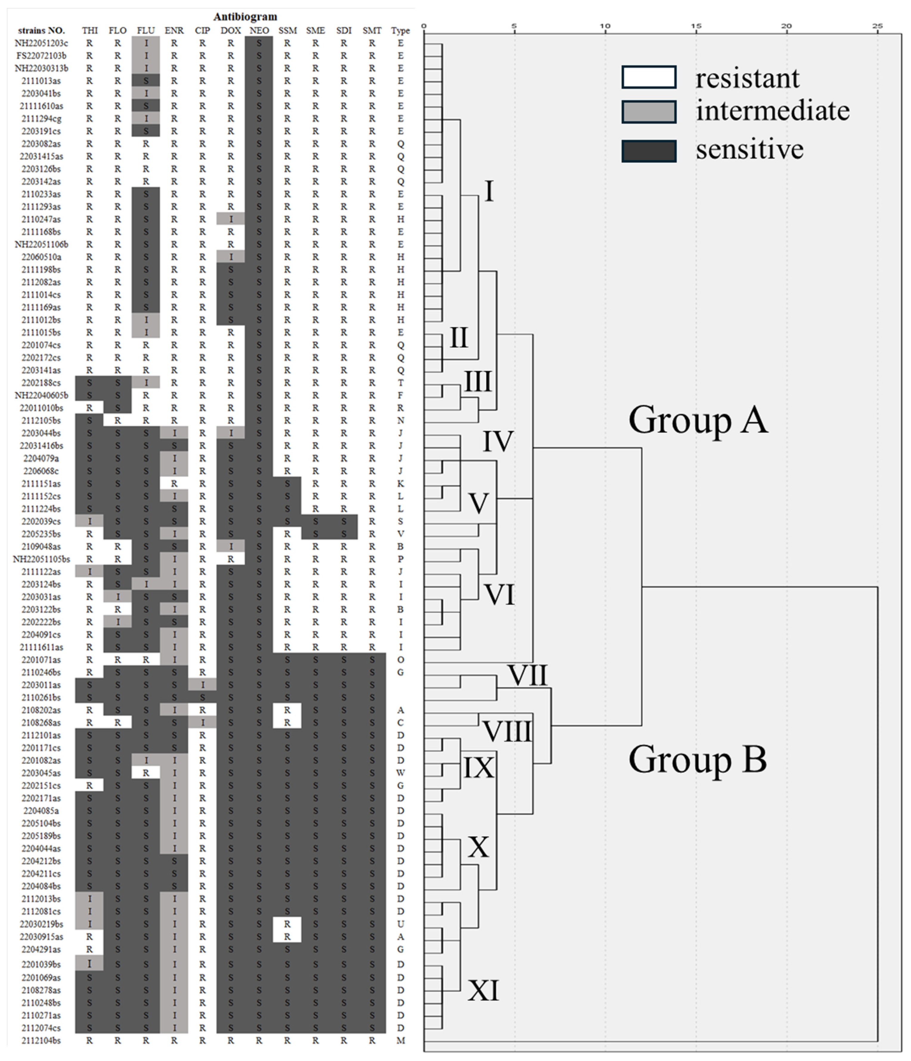 Pathogens 13 00987 g005