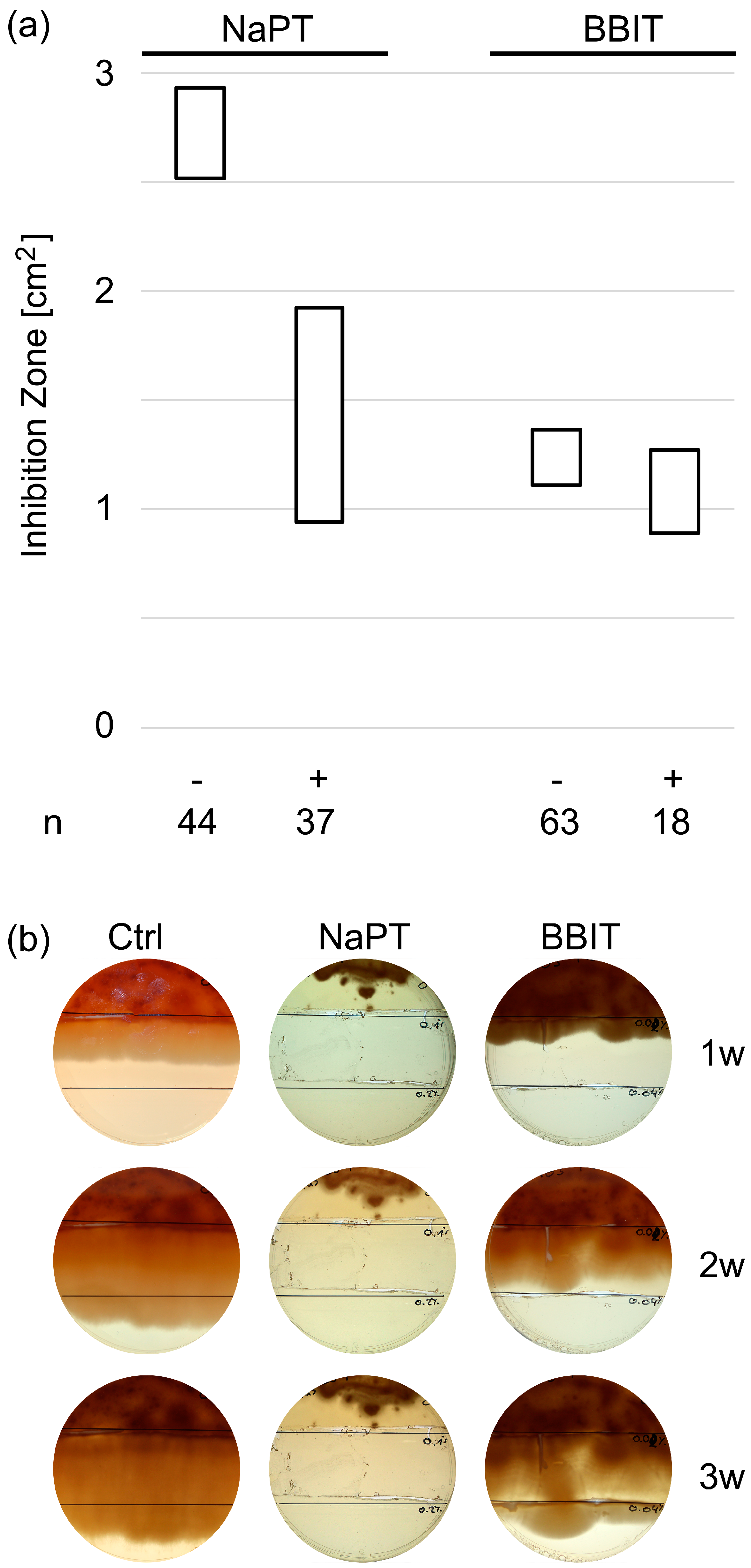 Pathogens 13 00990 g001
