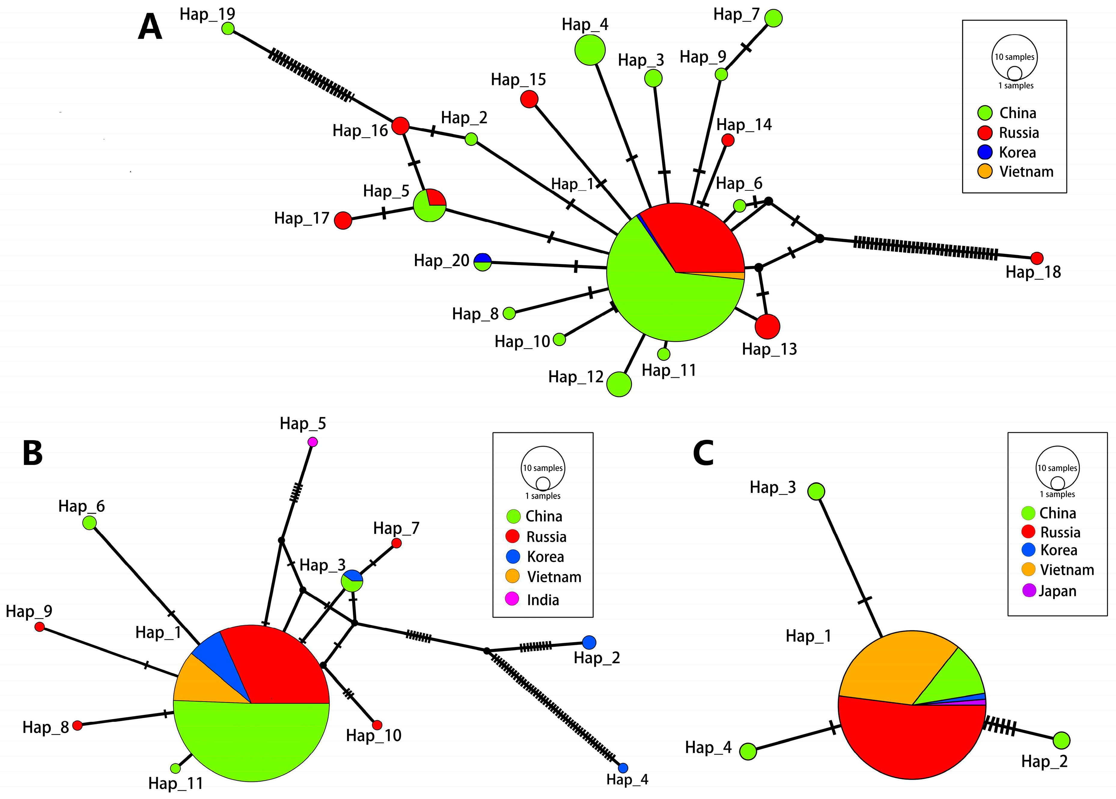 Pathogens 13 00991 g001
