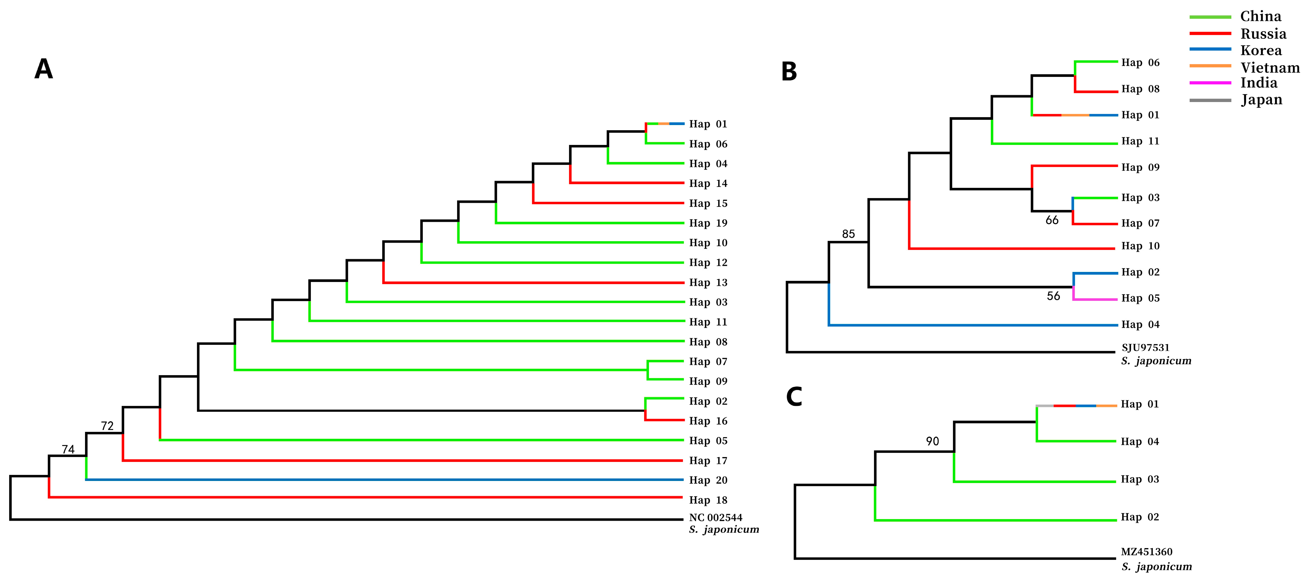 Pathogens 13 00991 g002