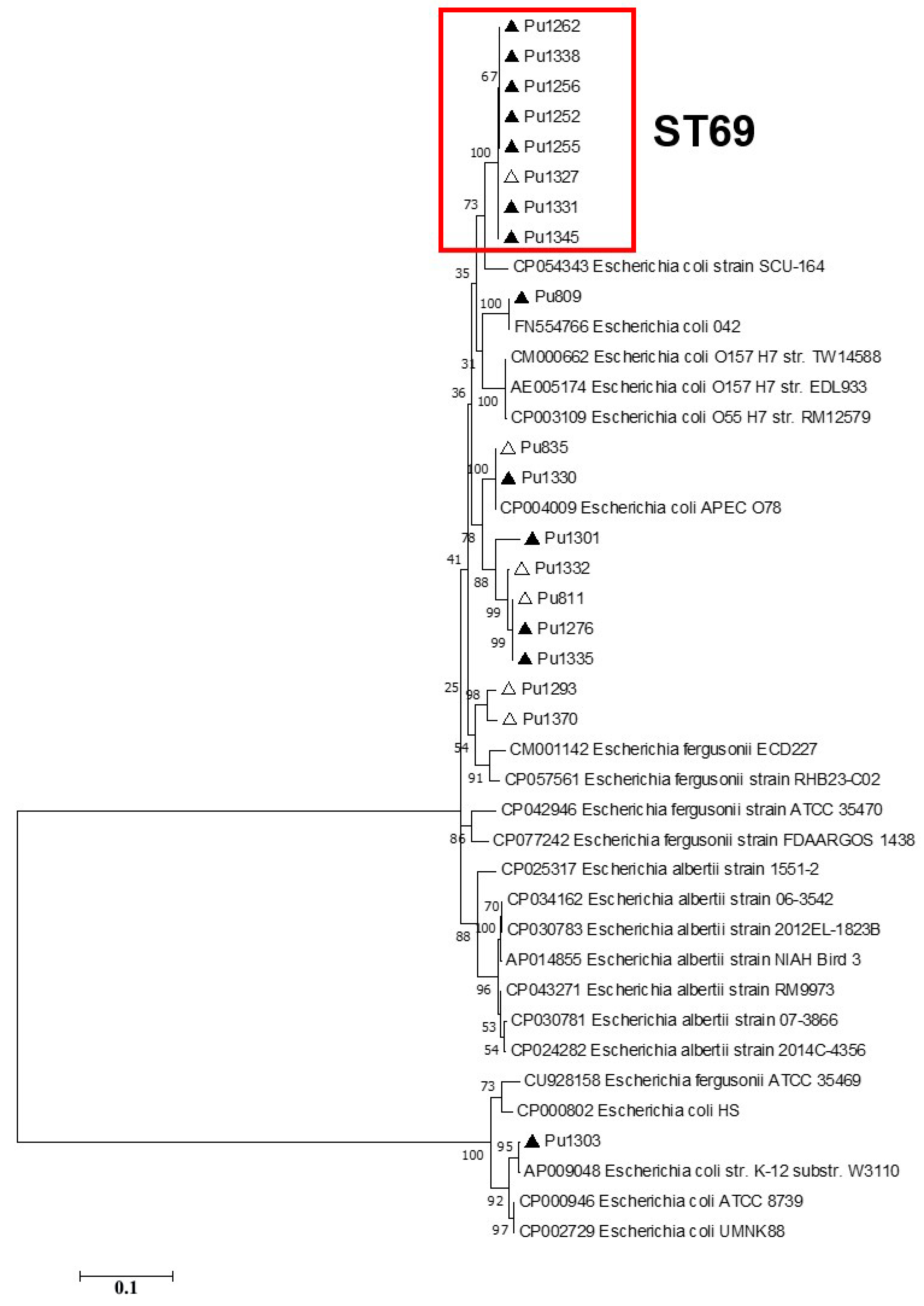 Pathogens 13 00997 g003
