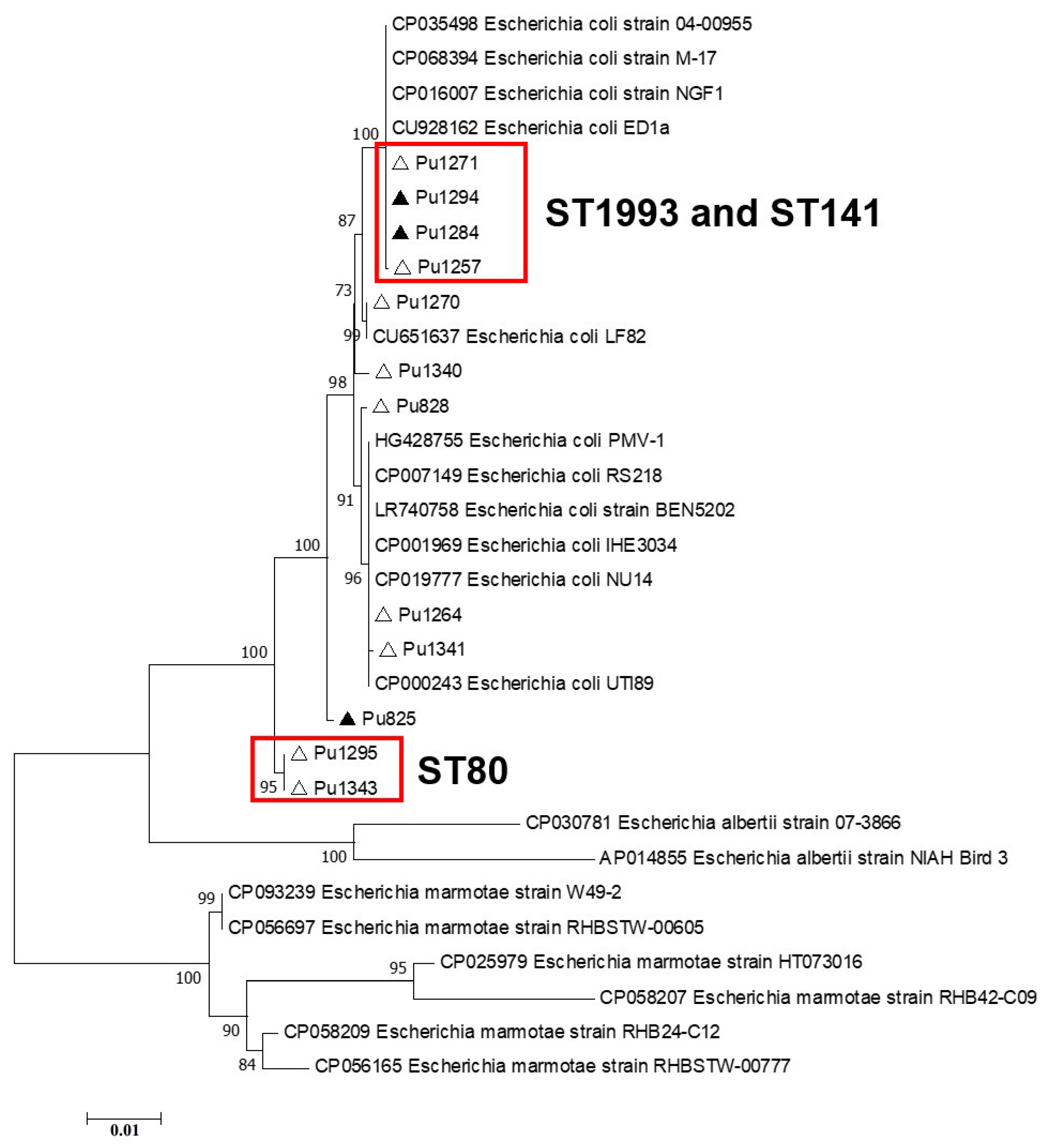 Pathogens 13 00997 g004
