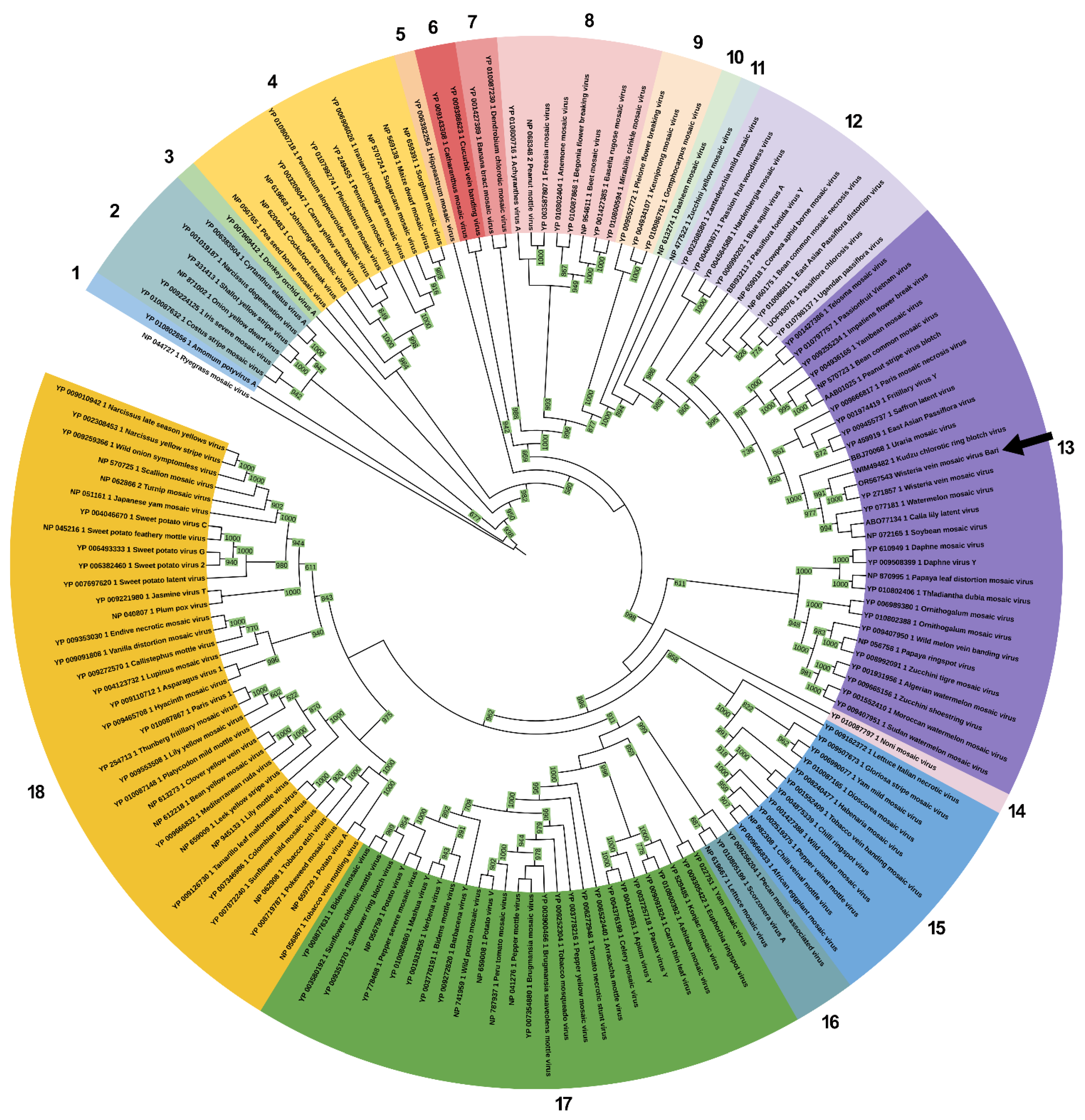 Pathogens 13 01001 g003 Pathogens 13 01001 g003