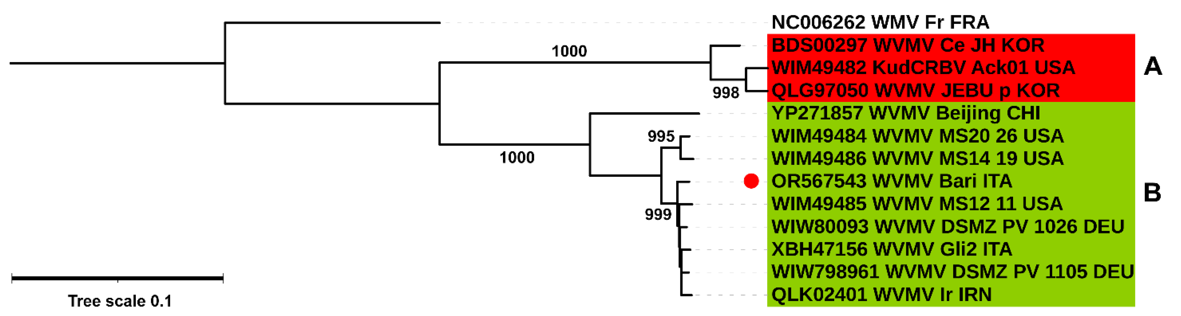 Pathogens 13 01001 g004 Pathogens 13 01001 g004
