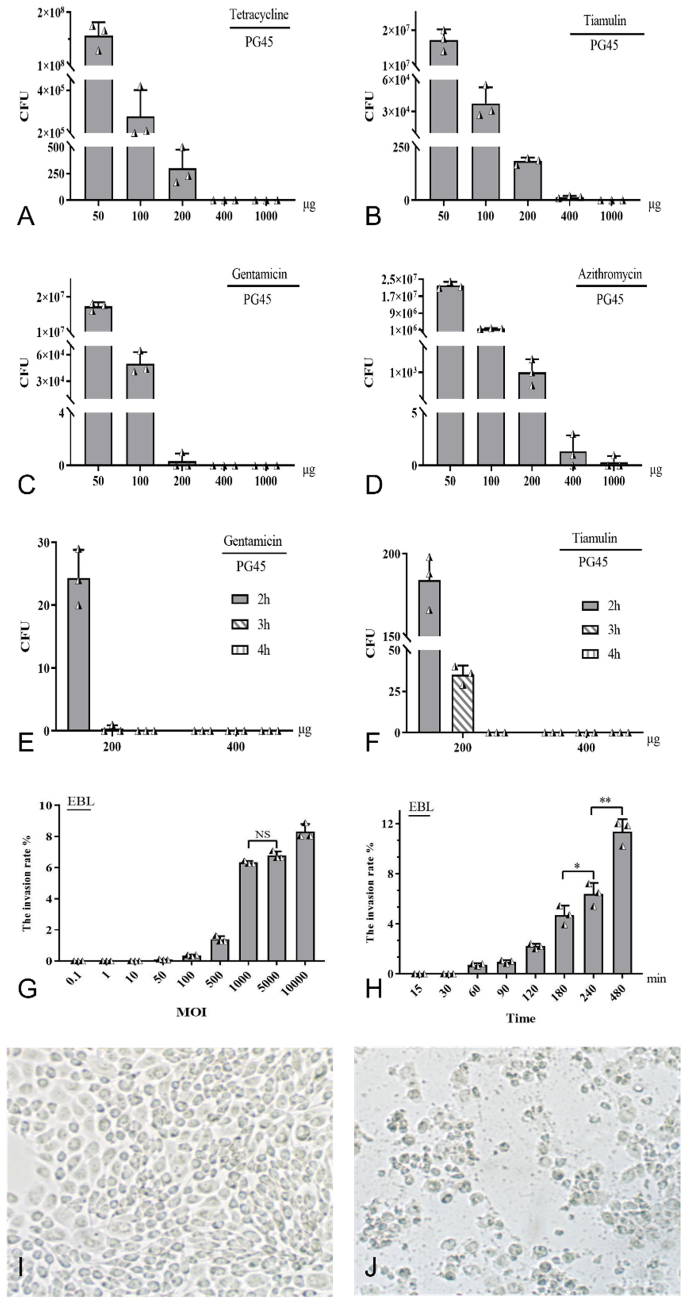 Pathogens 13 01003 g001