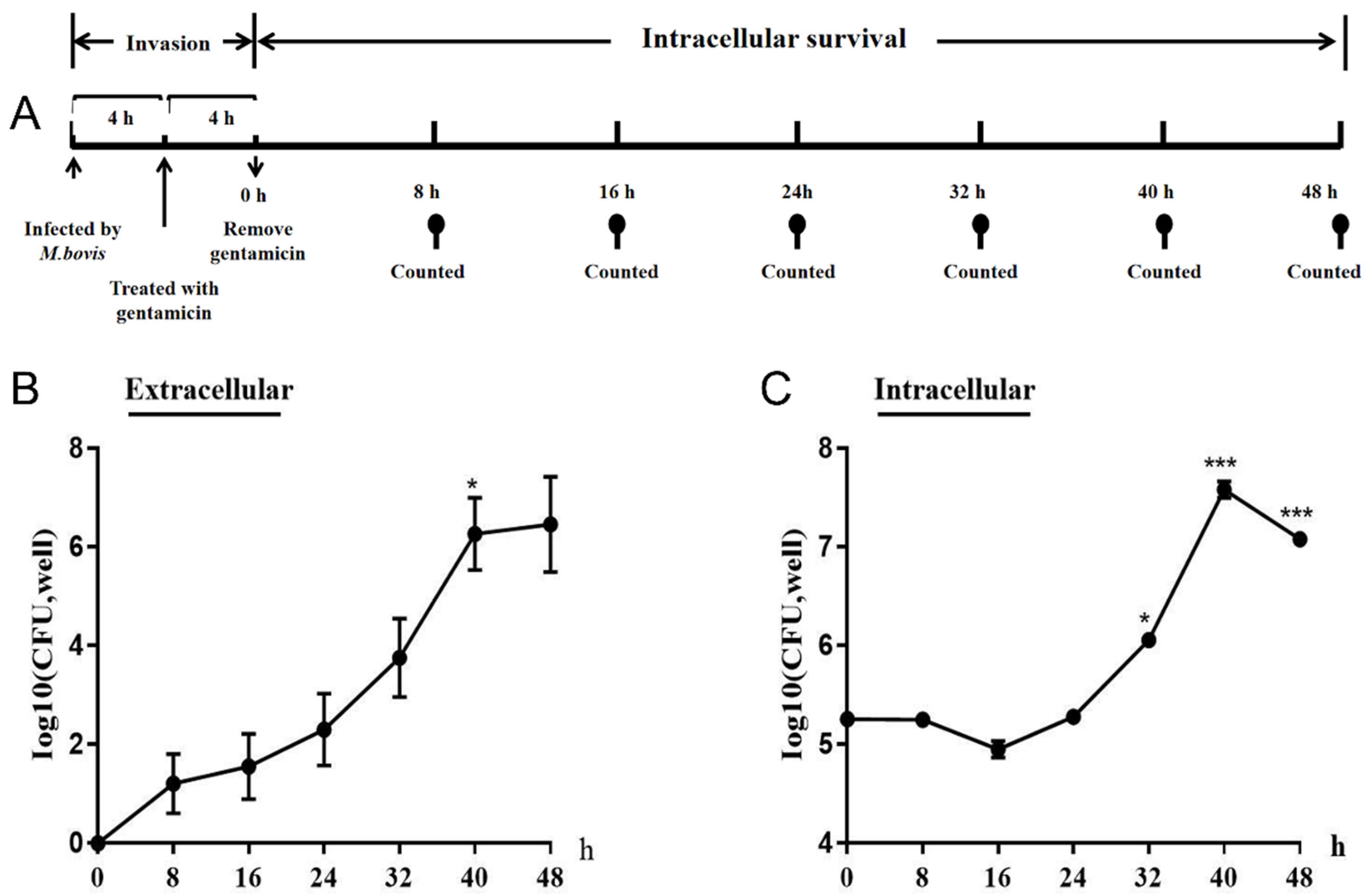Pathogens 13 01003 g002