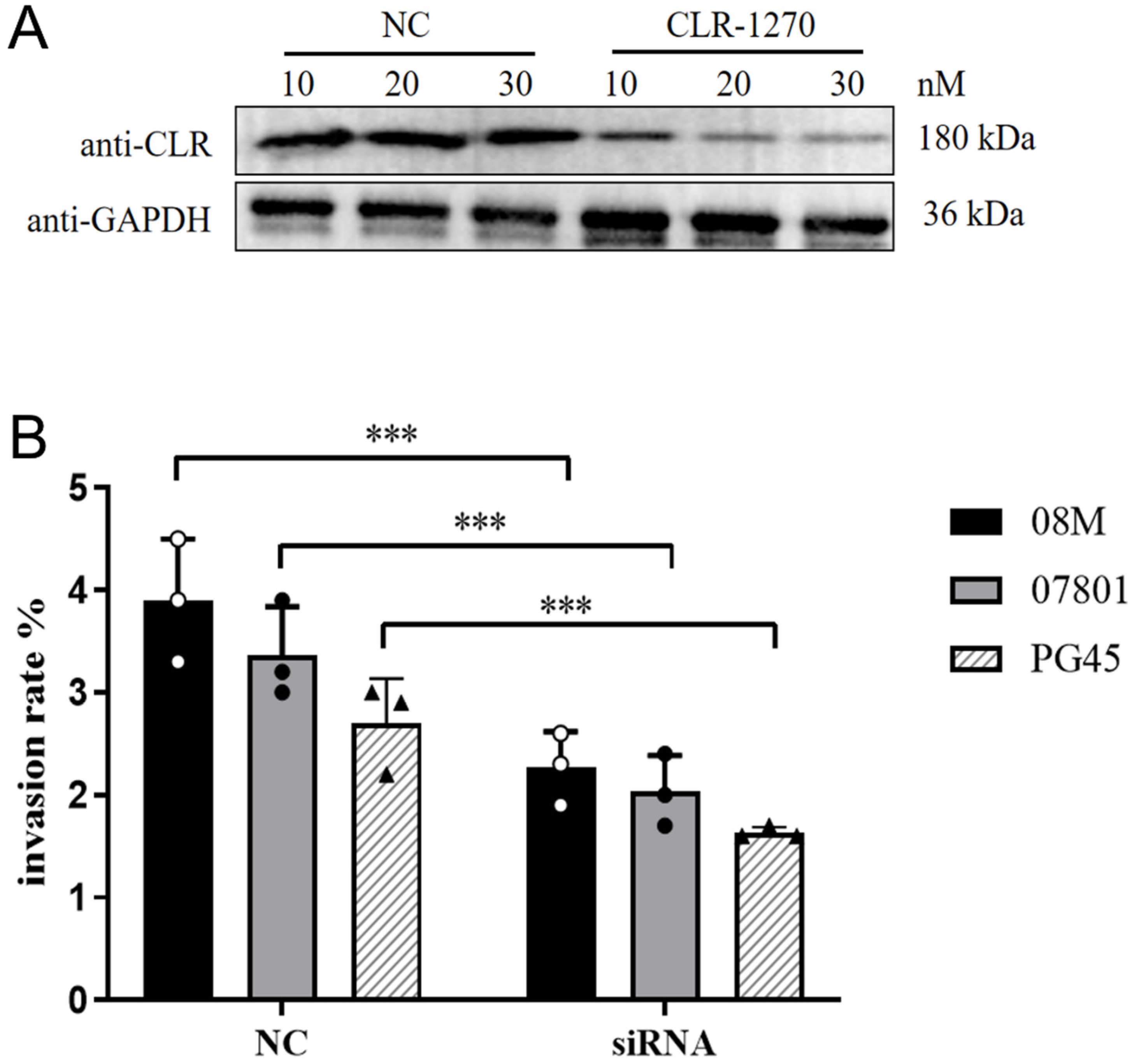 Pathogens 13 01003 g007