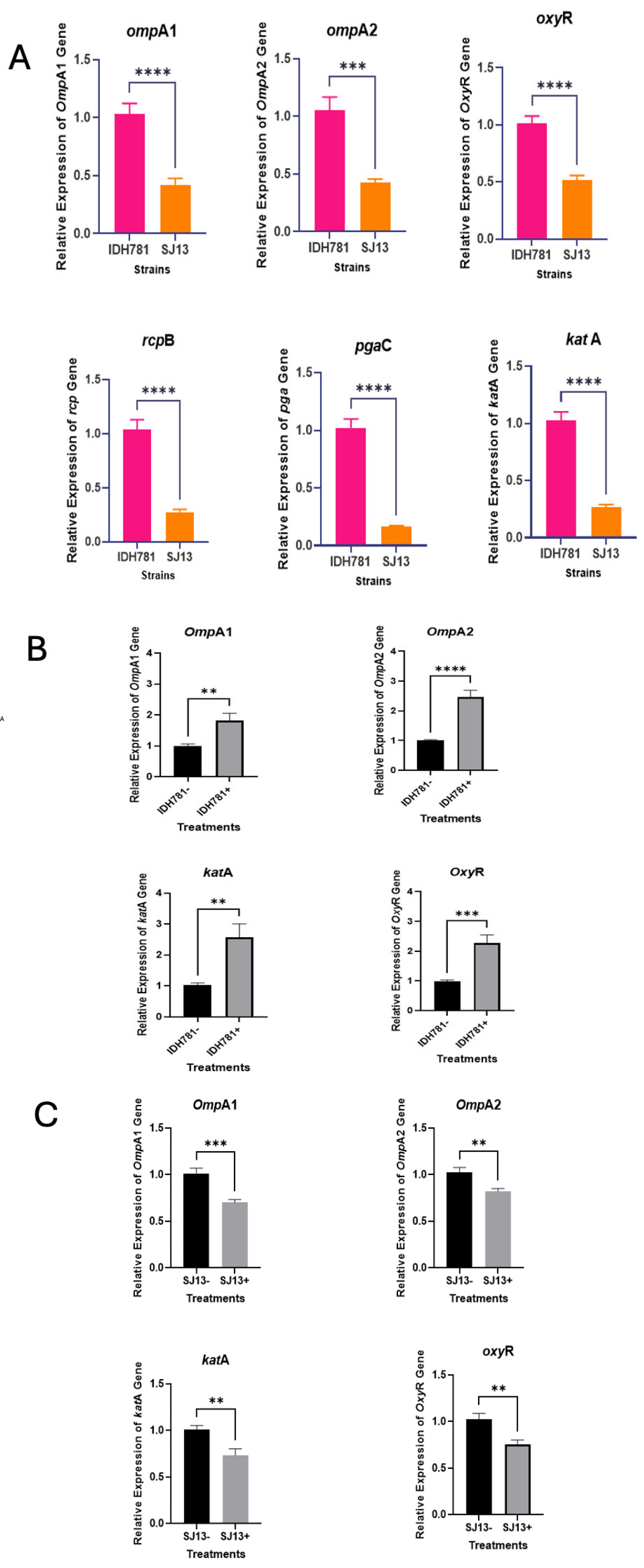 Pathogens 13 01011 g006