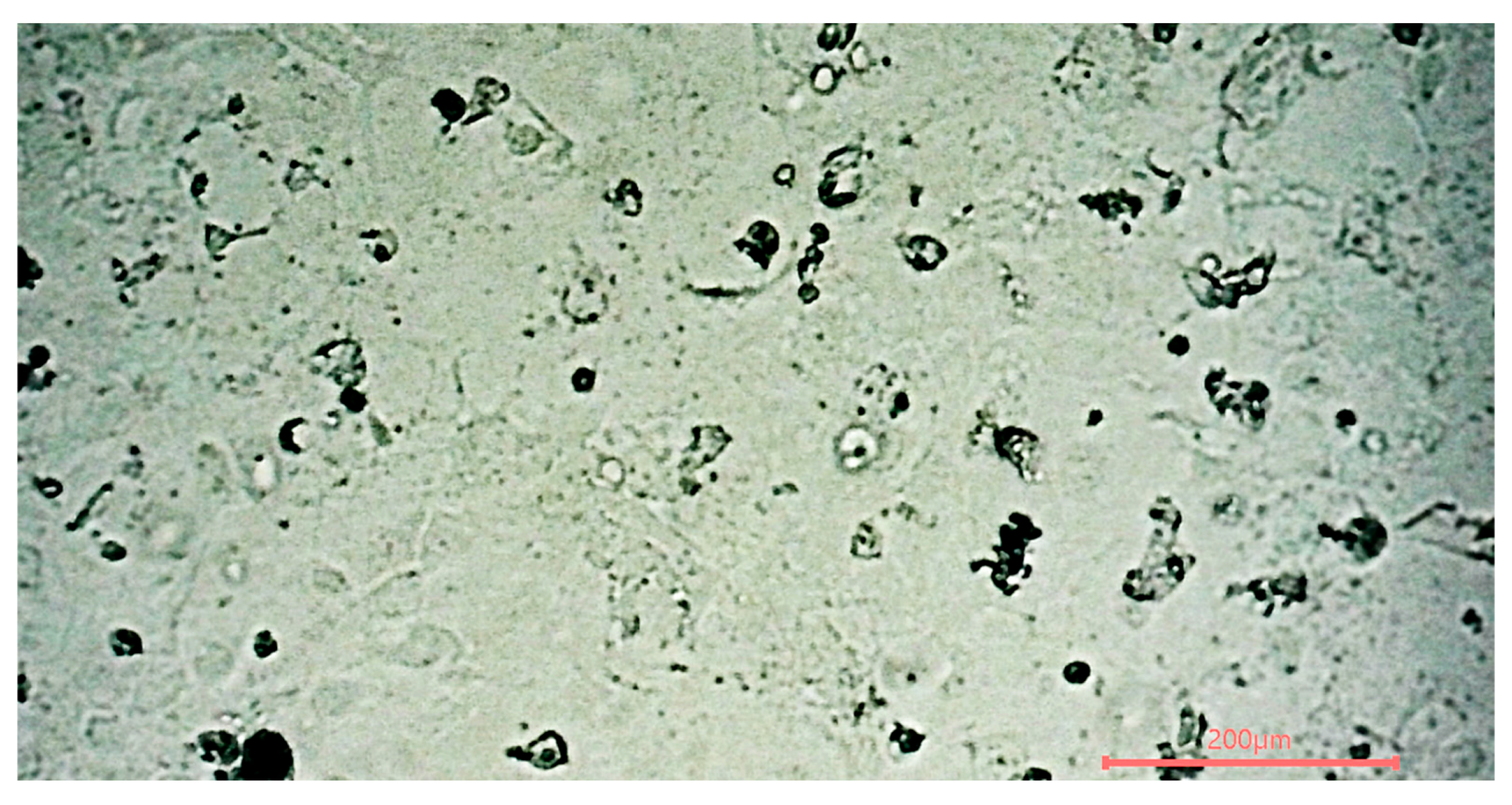Pathogens 13 01024 g005