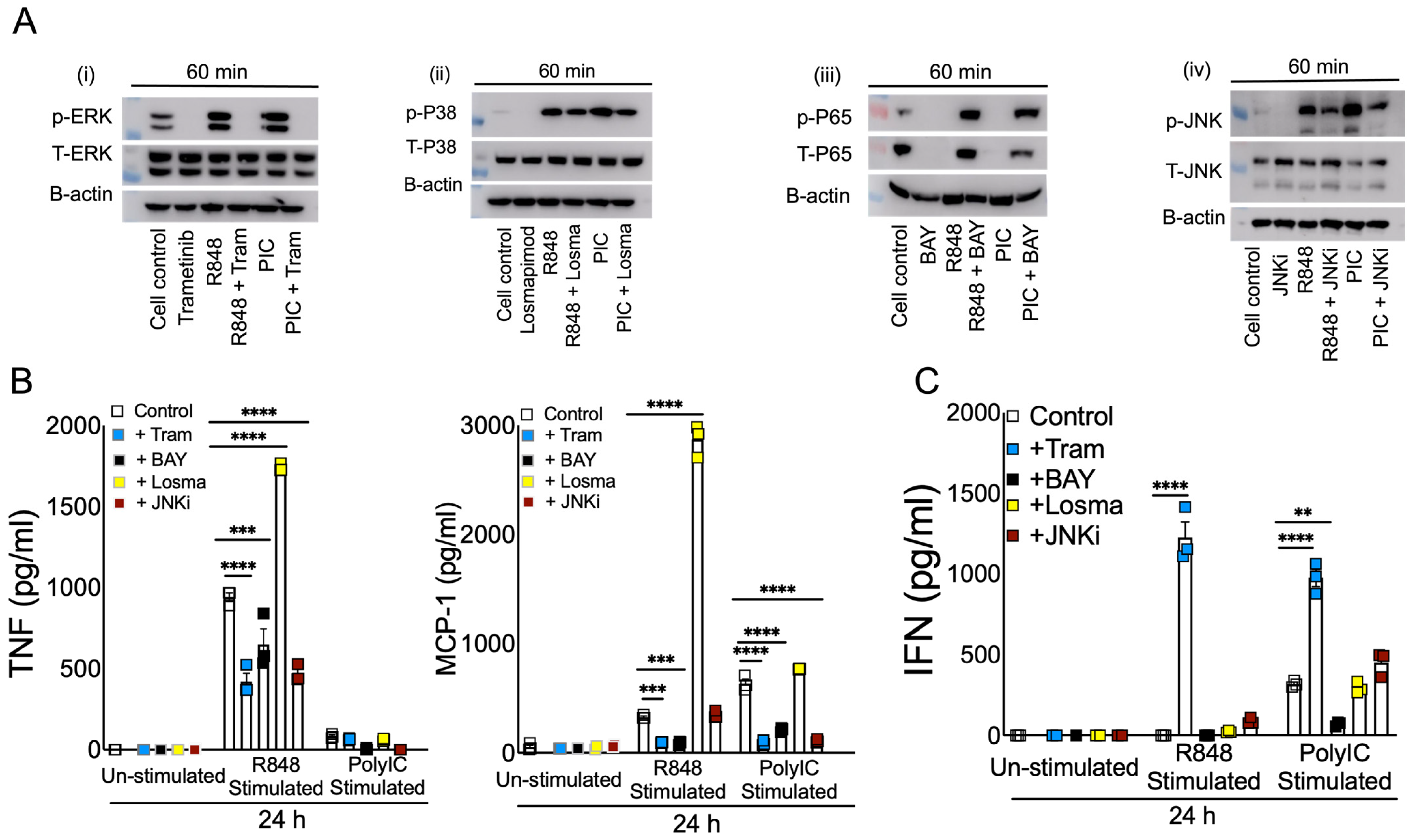 Pathogens 13 01033 g005