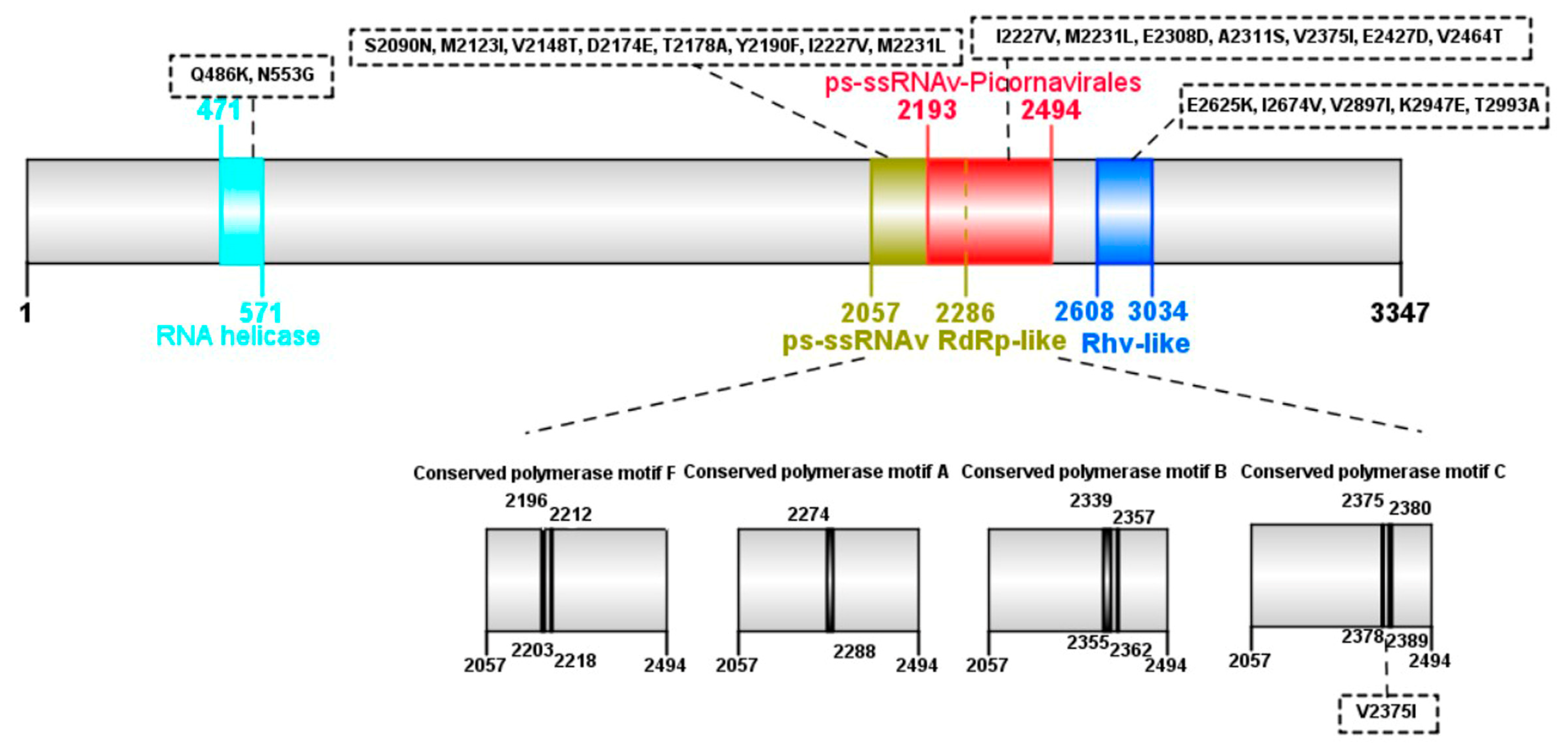 Pathogens 13 01036 g003