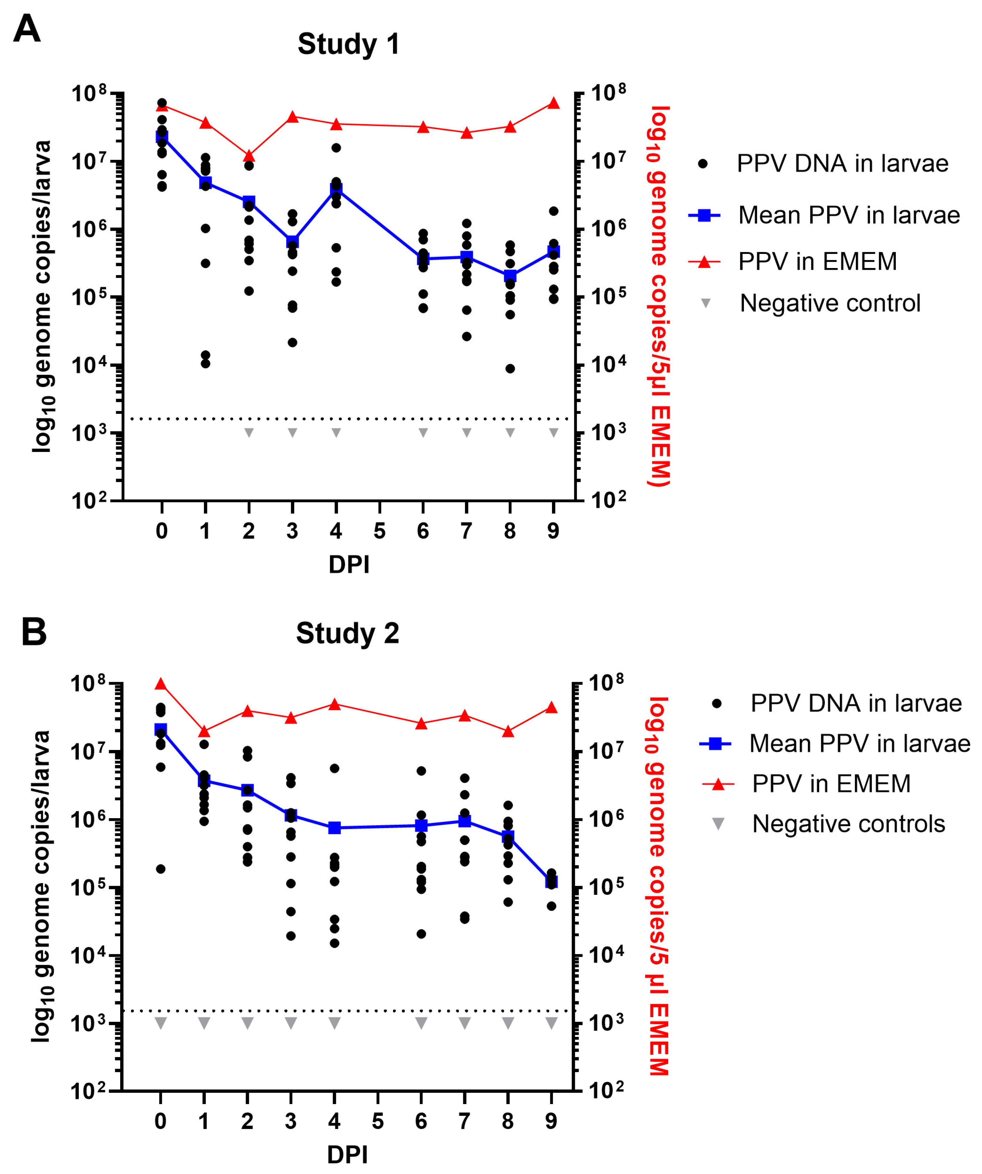 Pathogens 13 01038 g003