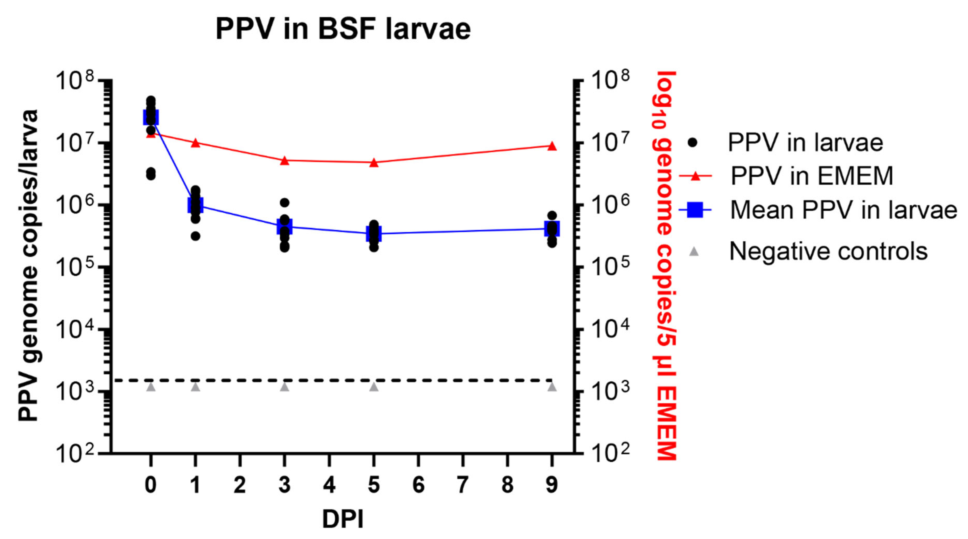 Pathogens 13 01038 g004