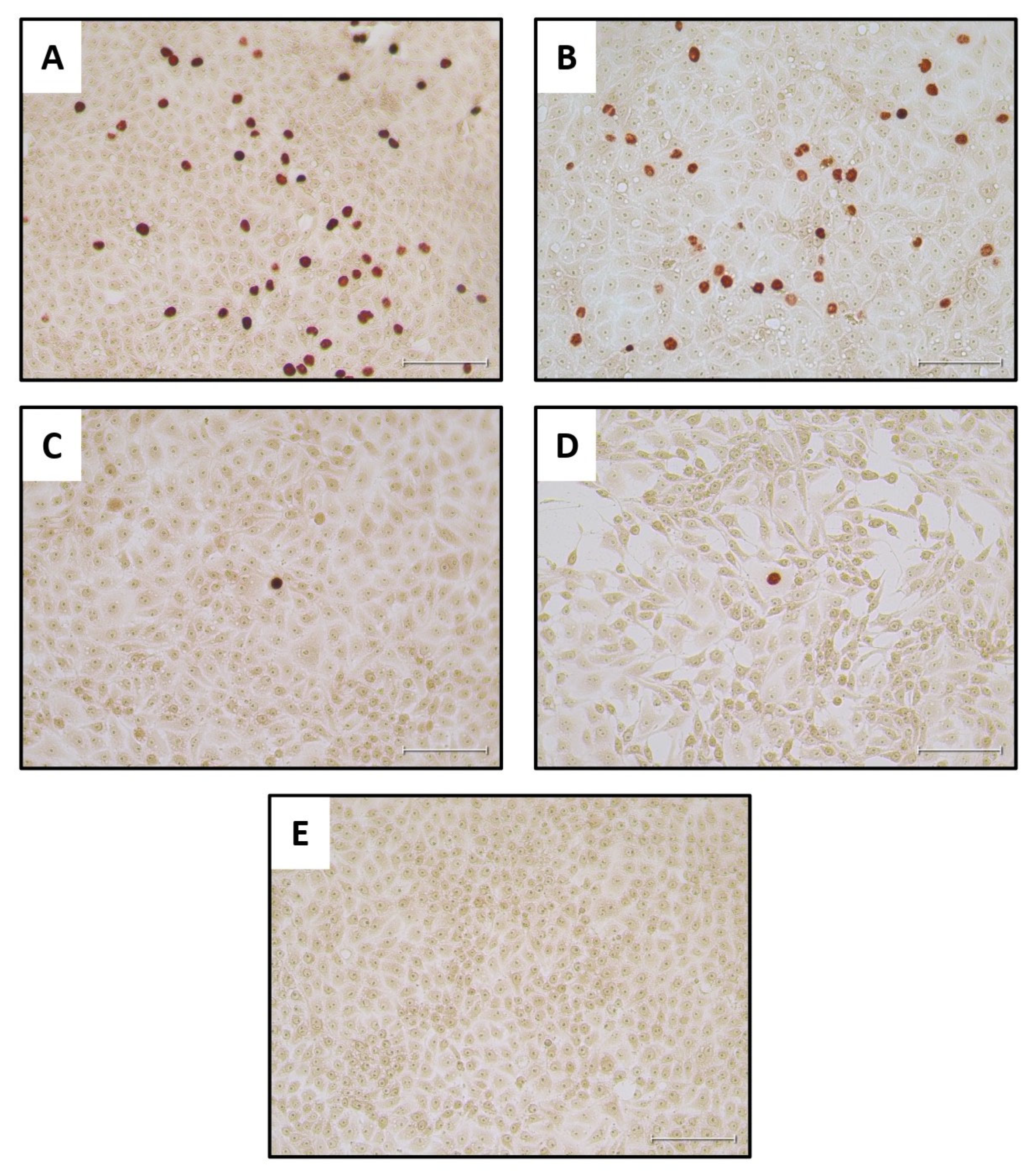 Pathogens 13 01038 g005
