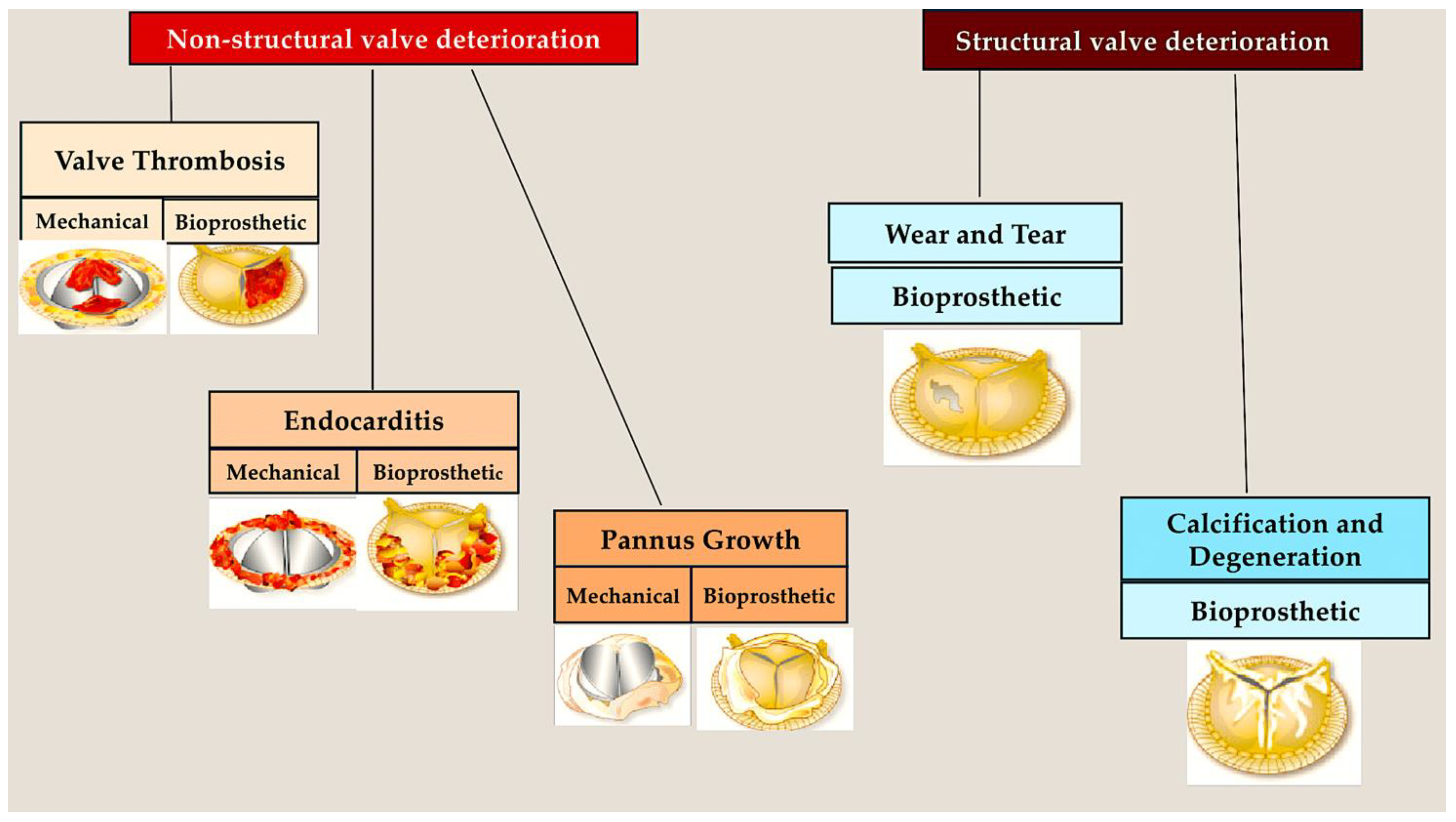 Pathogens 13 01039 g001