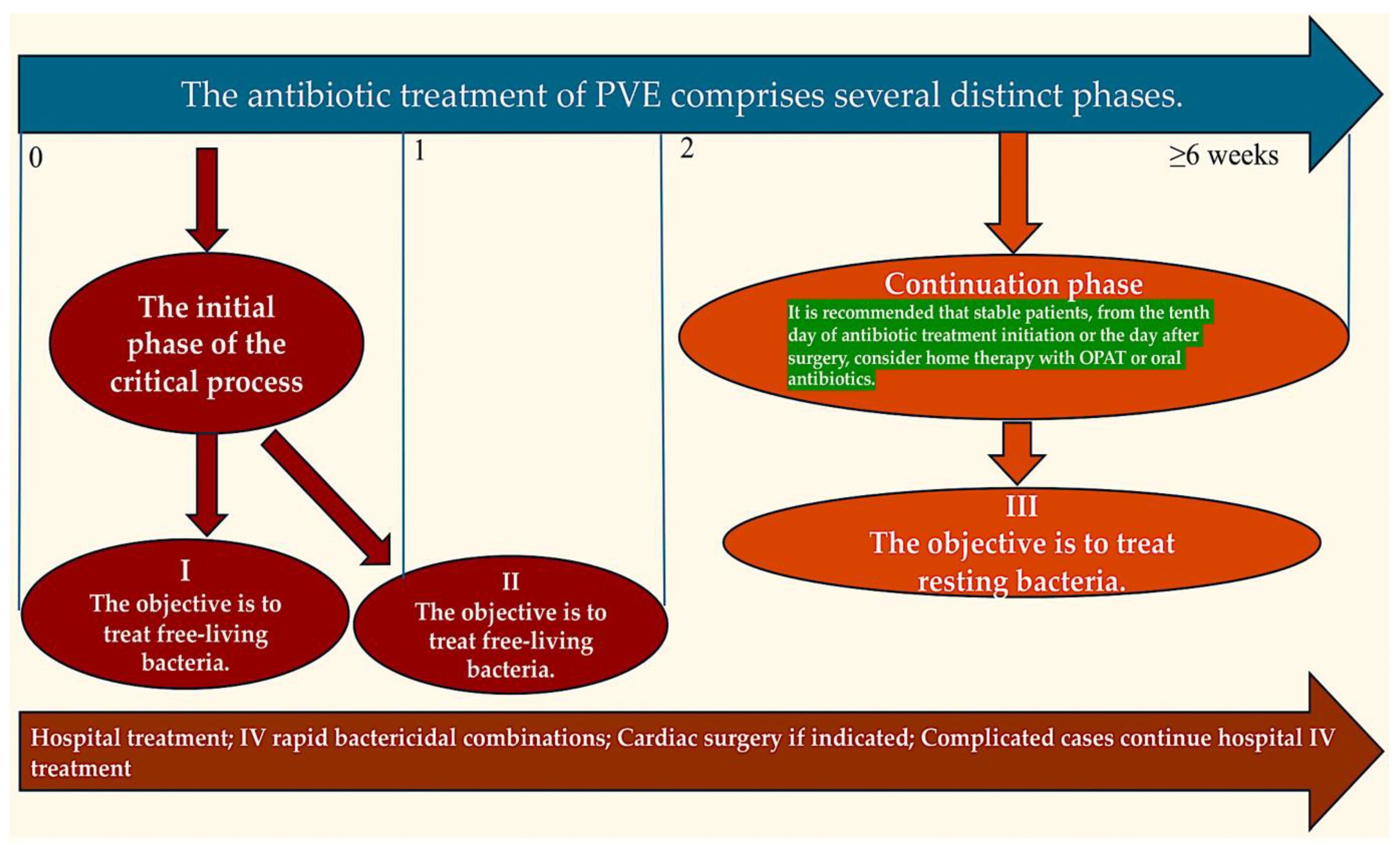 Pathogens 13 01039 g007