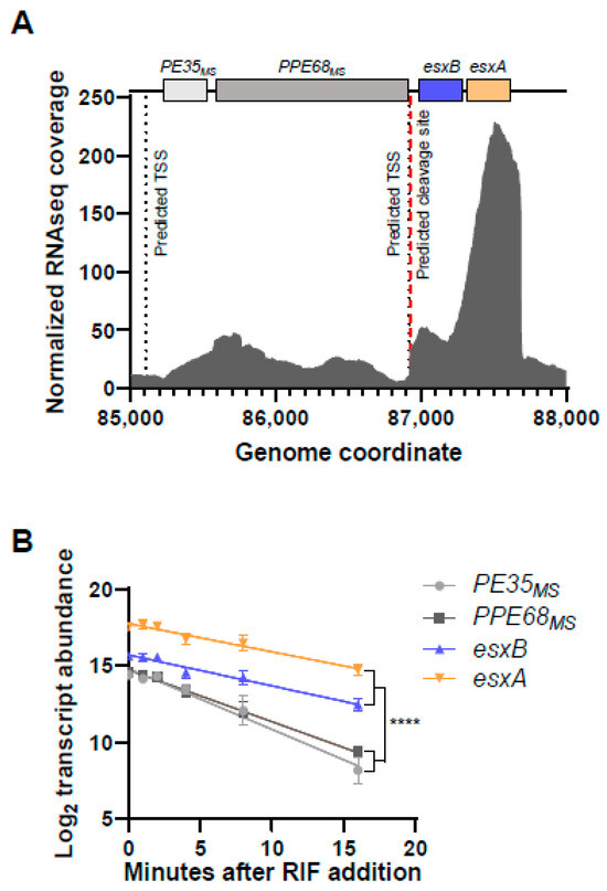 Pathogens 13 01041 g001