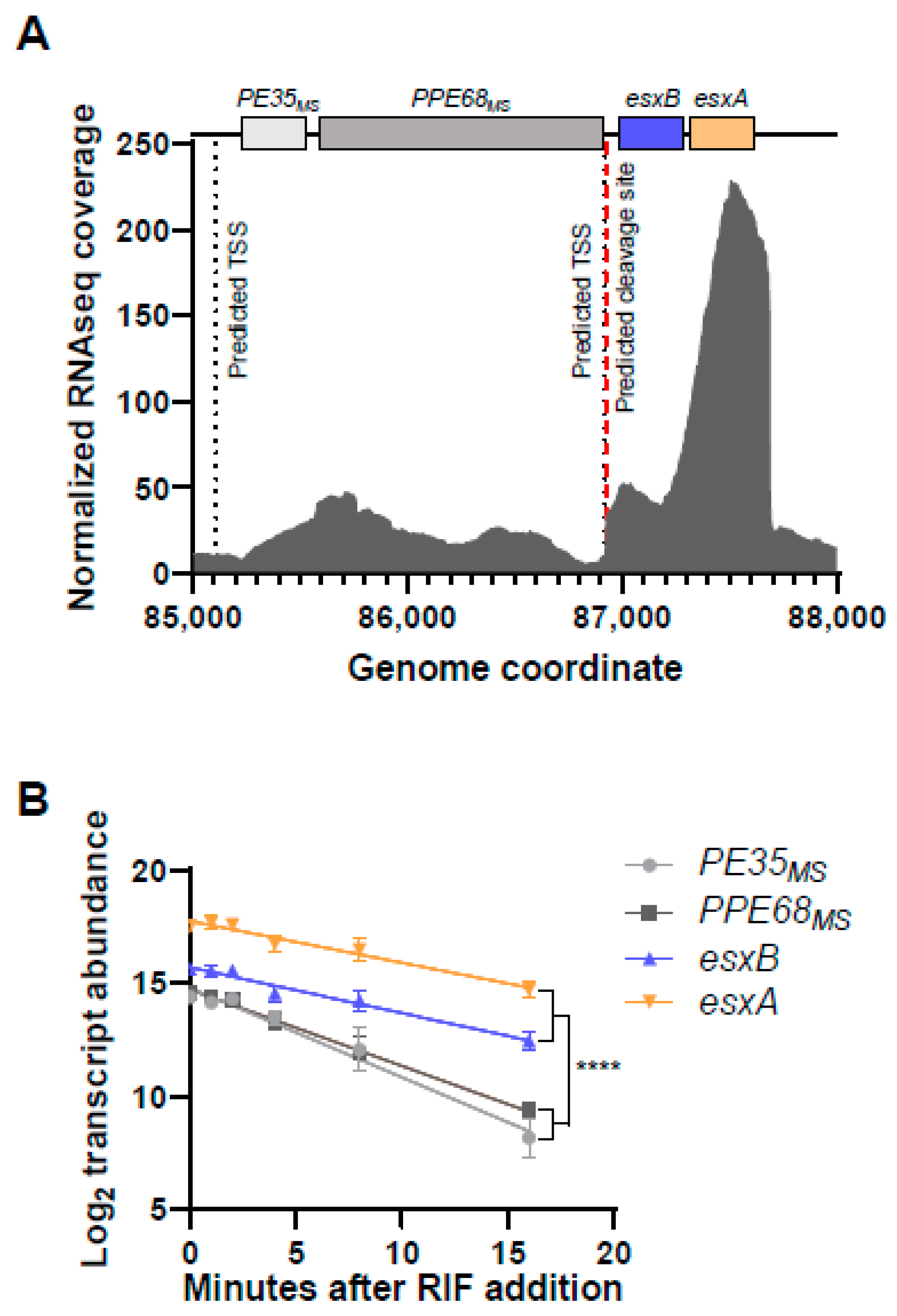 Pathogens 13 01041 g001