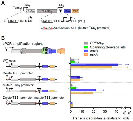 Pathogens 13 01041 g002