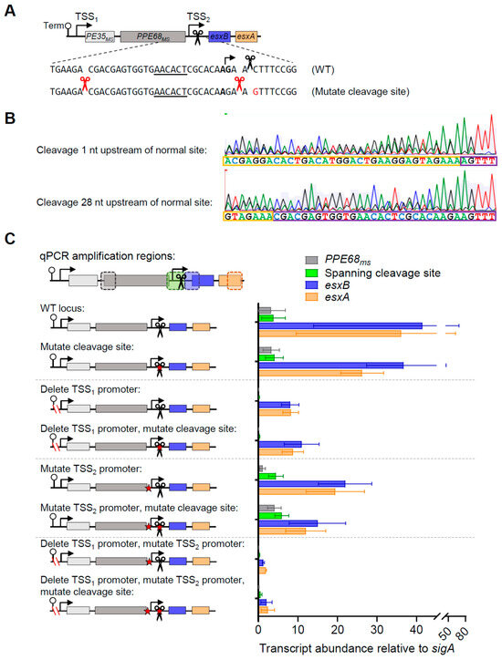 Pathogens 13 01041 g004