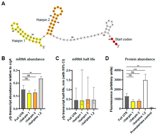 Pathogens 13 01041 g005
