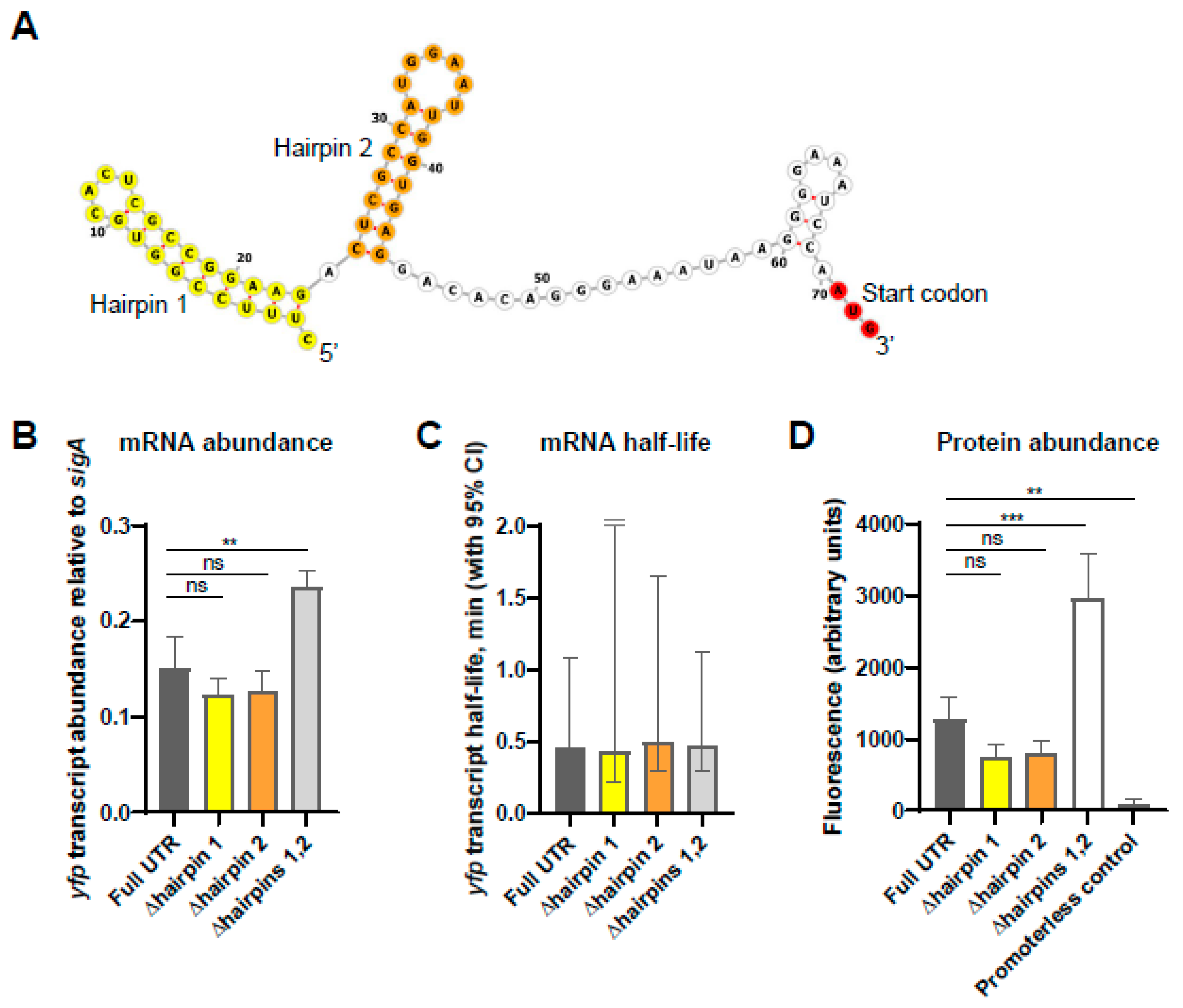 Pathogens 13 01041 g005
