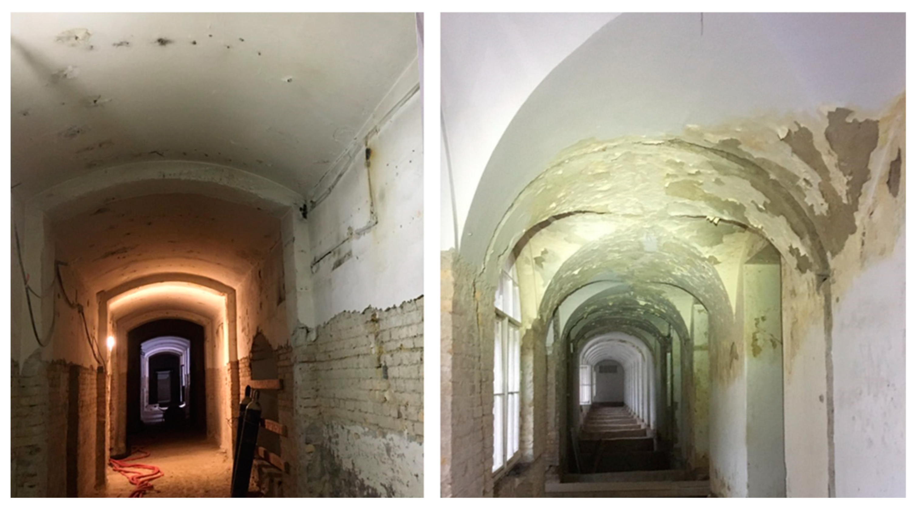 Pathogens 13 01048 g002