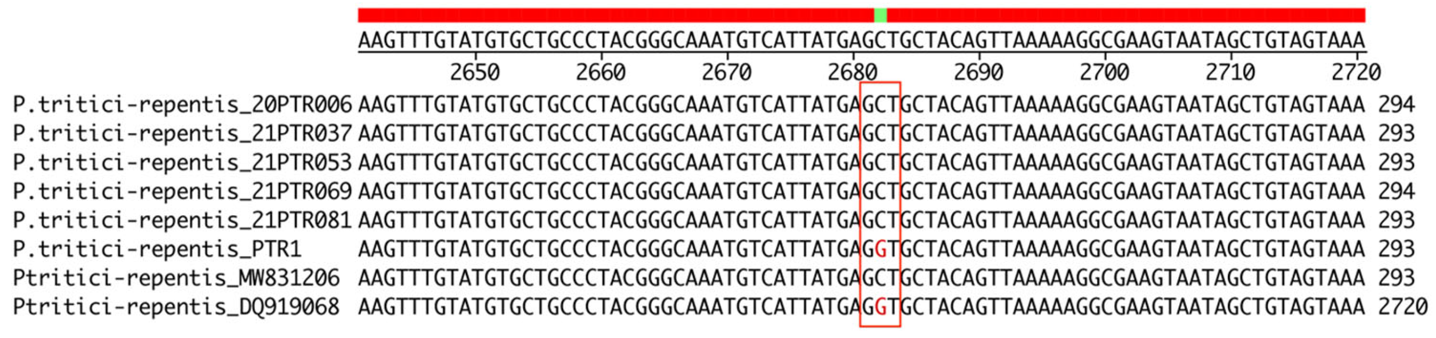Pathogens 13 01060 g003 Pathogens 13 01060 g003