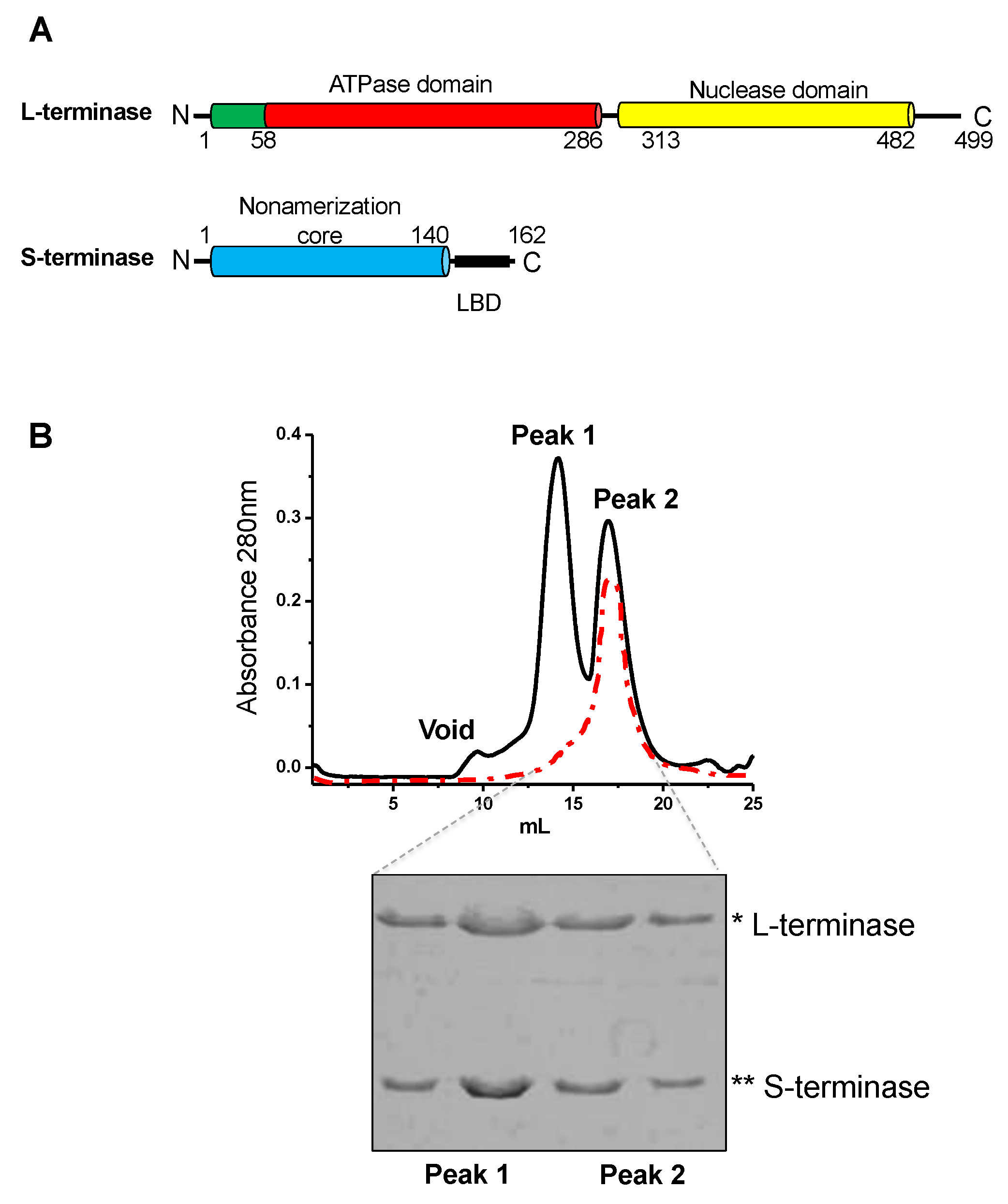 Pathogens 13 01066 g002