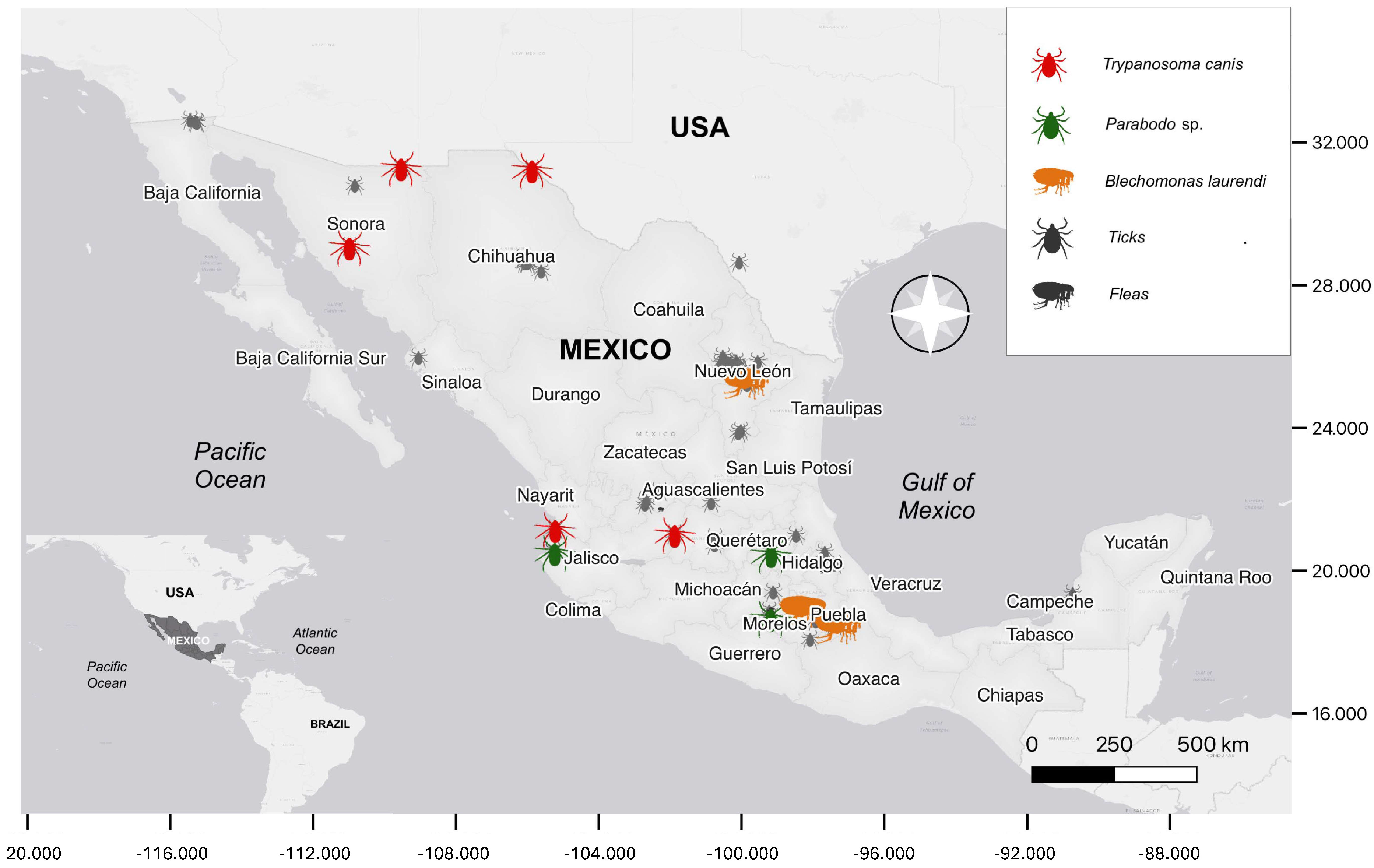 Pathogens 13 01072 g001