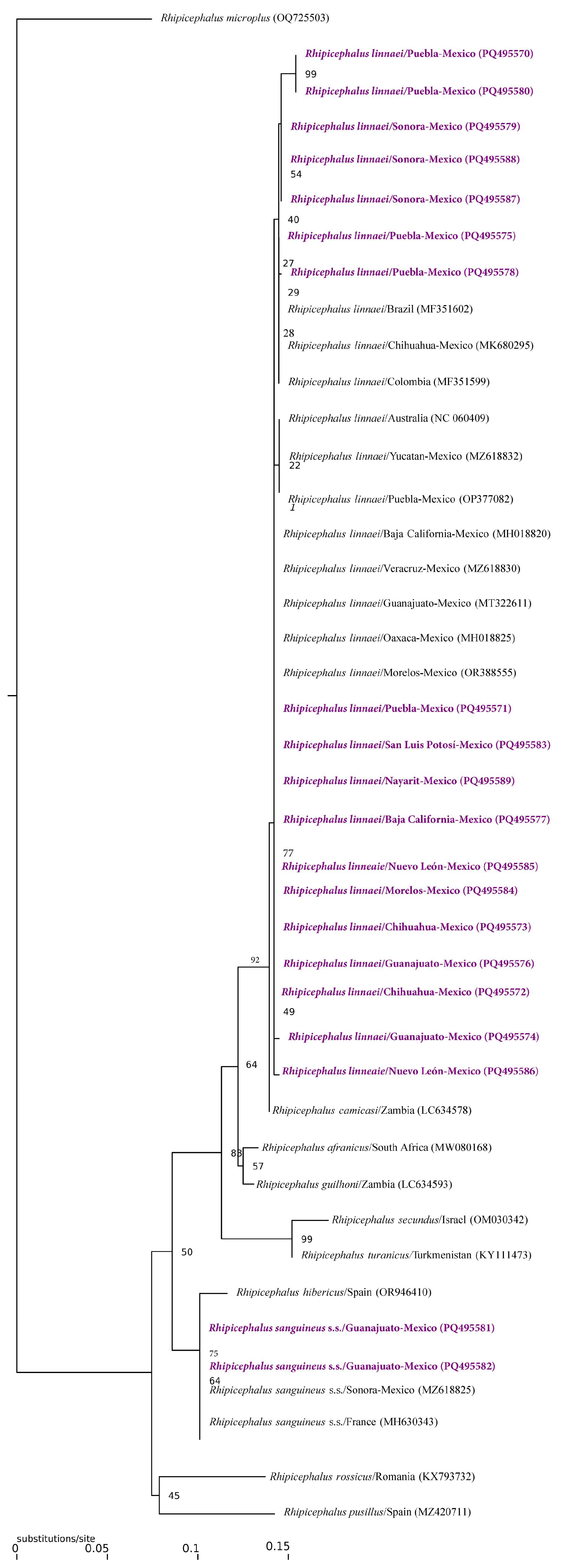 Pathogens 13 01072 g002