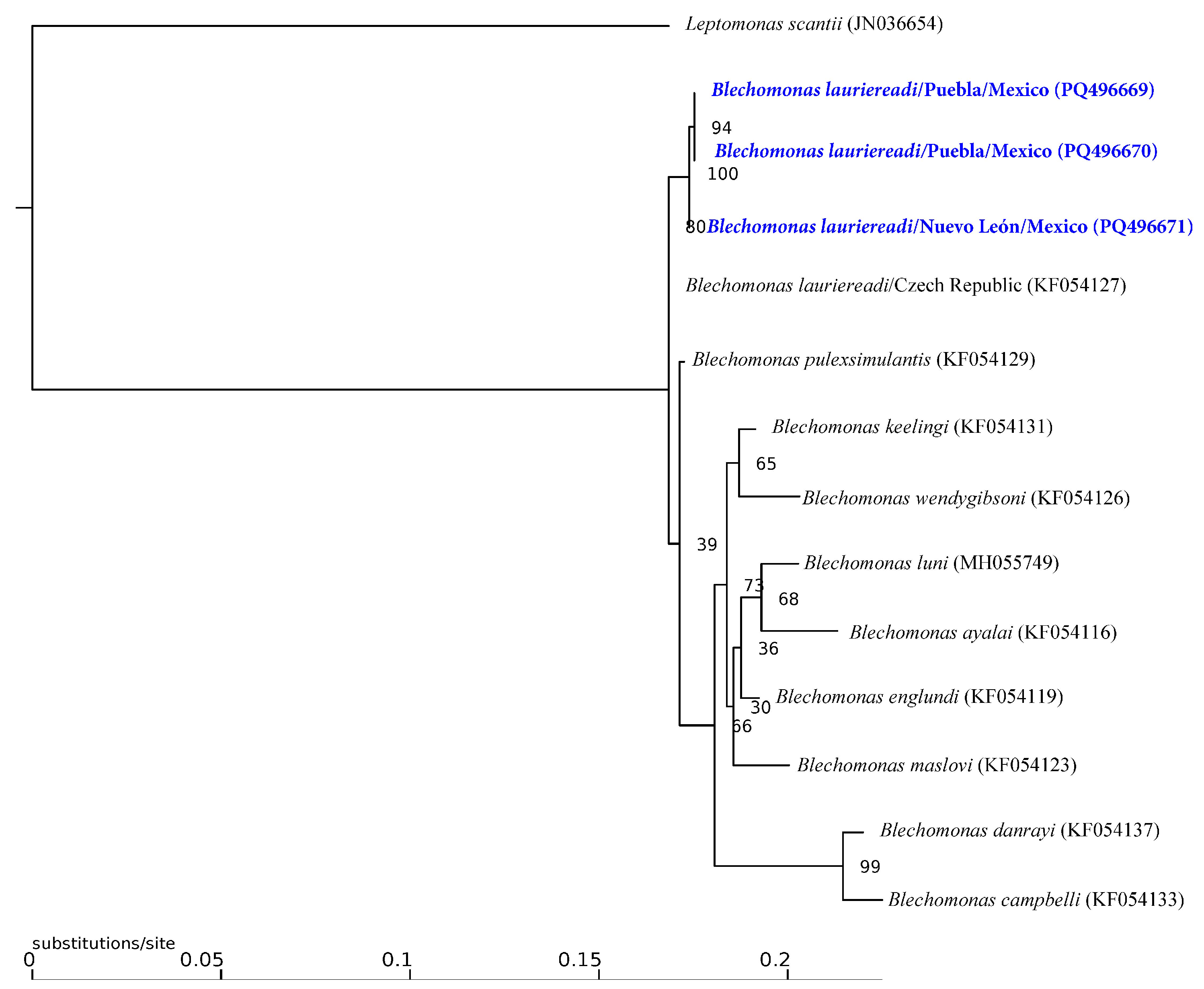 Pathogens 13 01072 g003