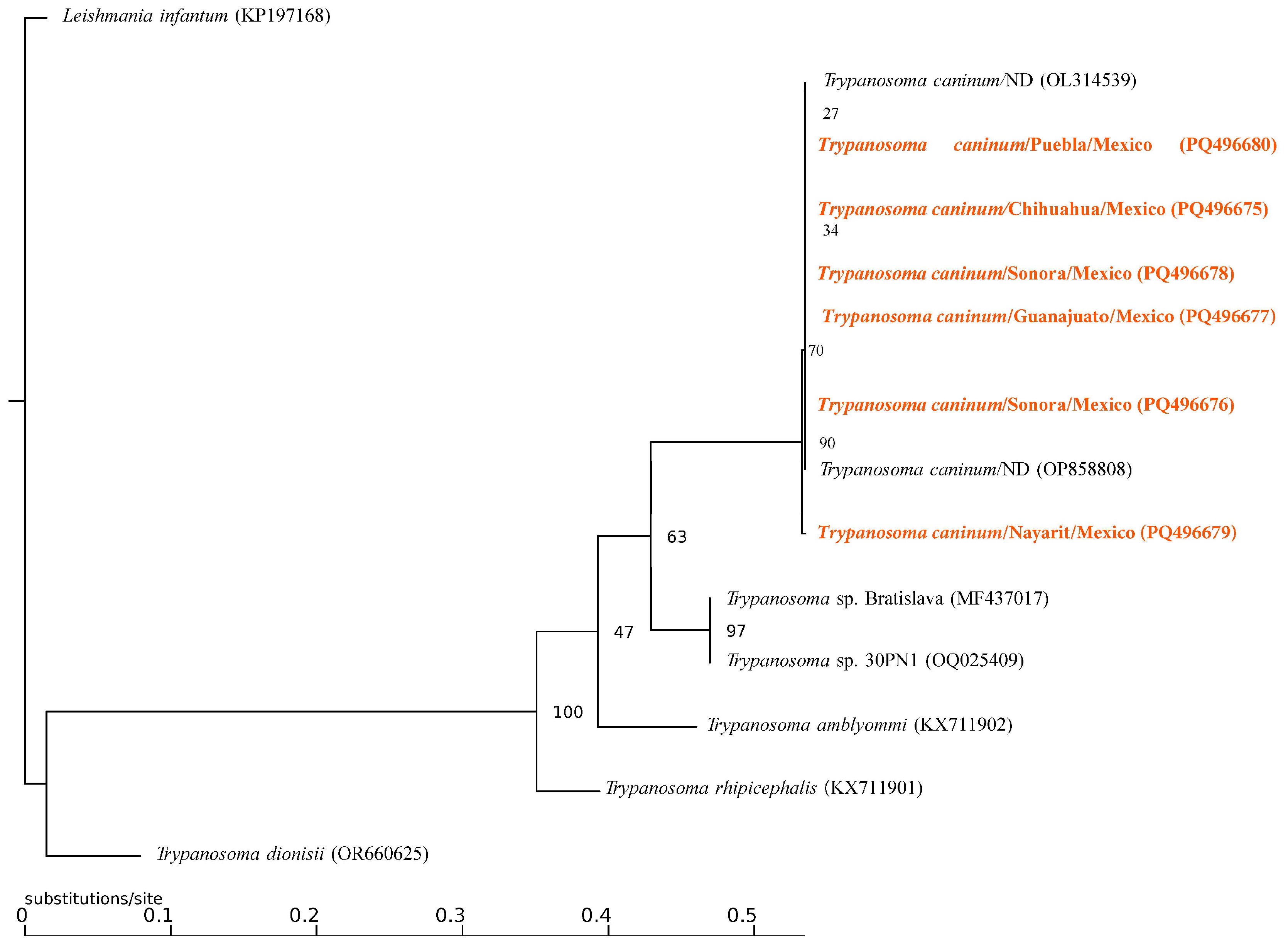 Pathogens 13 01072 g004
