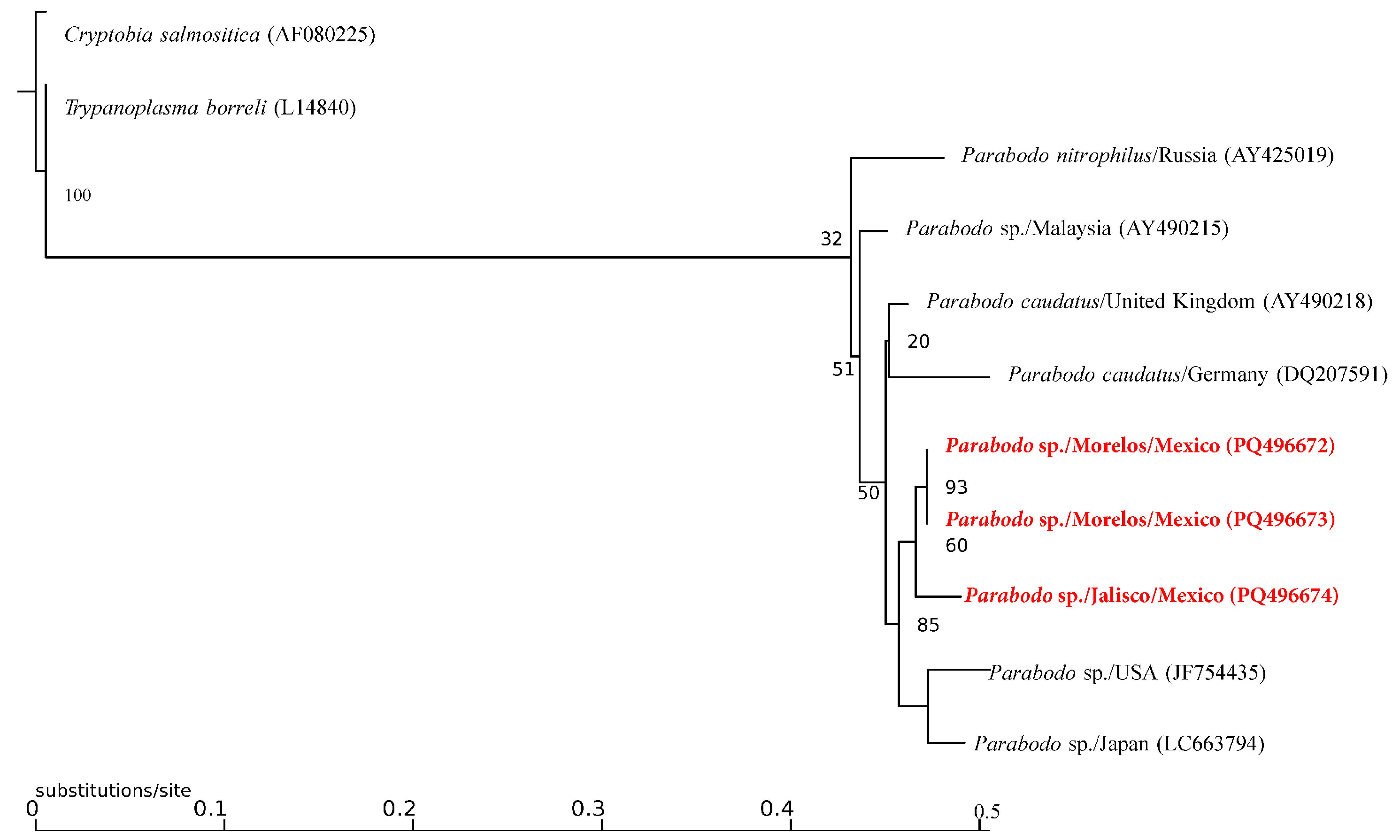 Pathogens 13 01072 g005