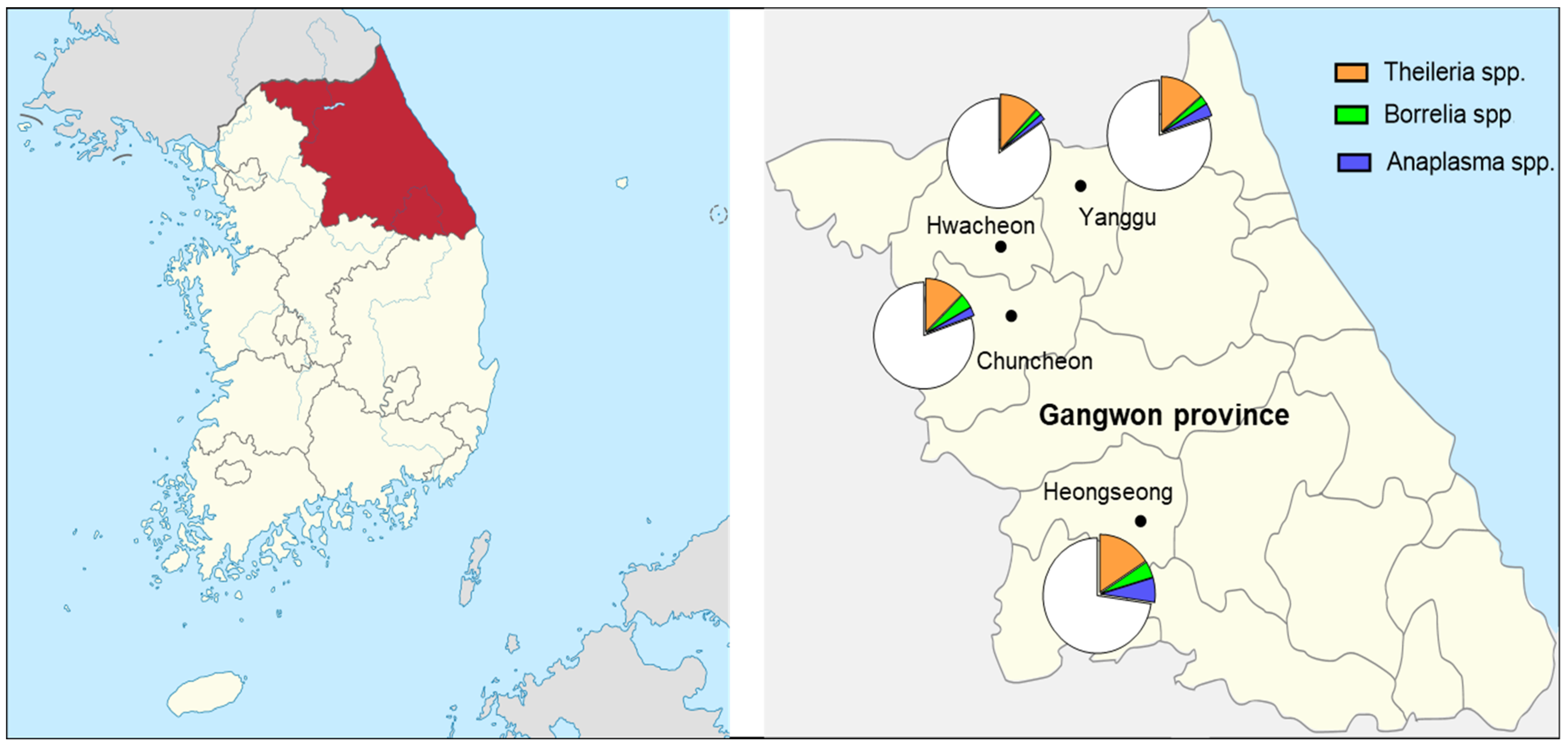 Pathogens 13 01079 g001