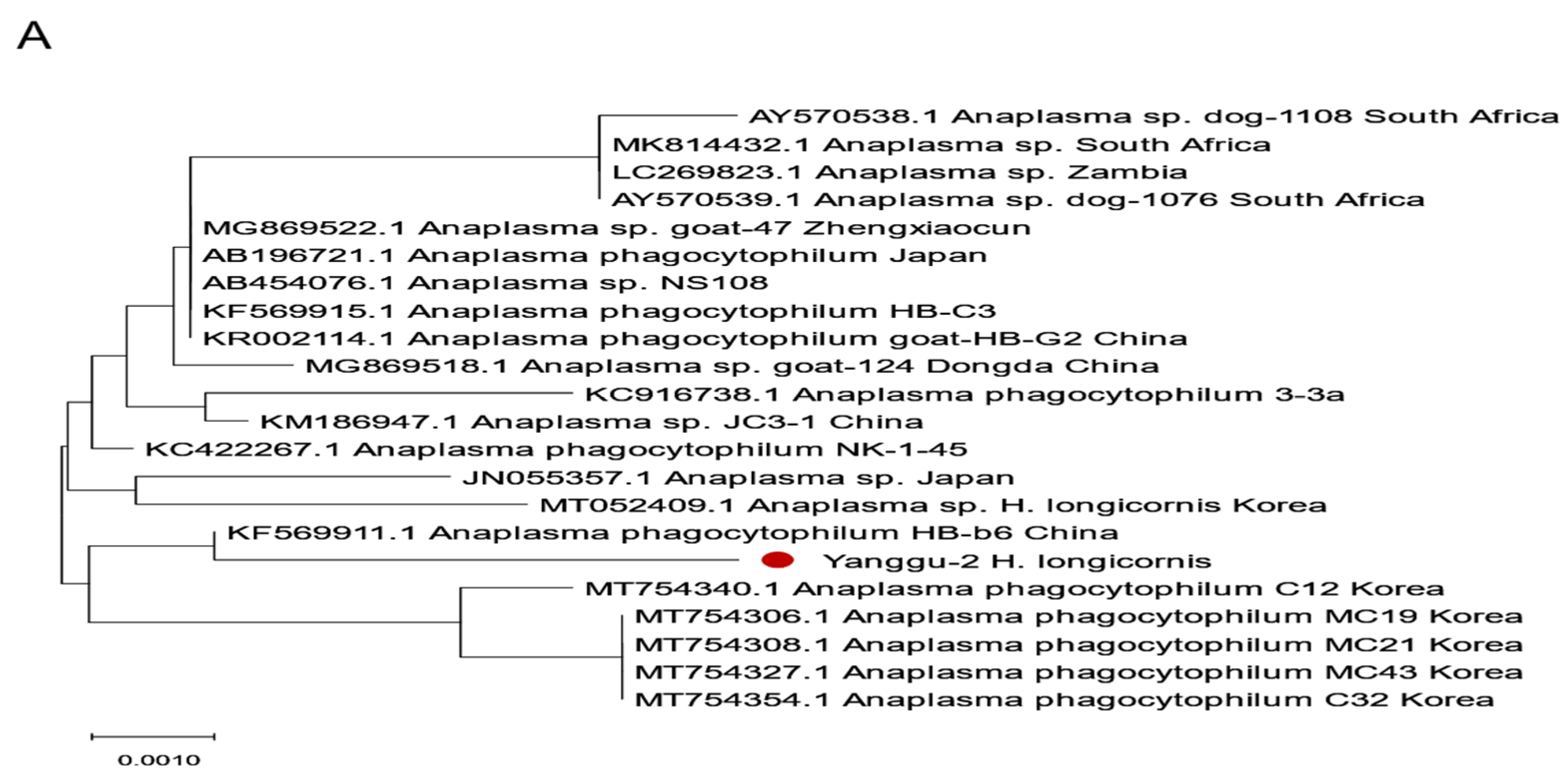 Pathogens 13 01079 g005a