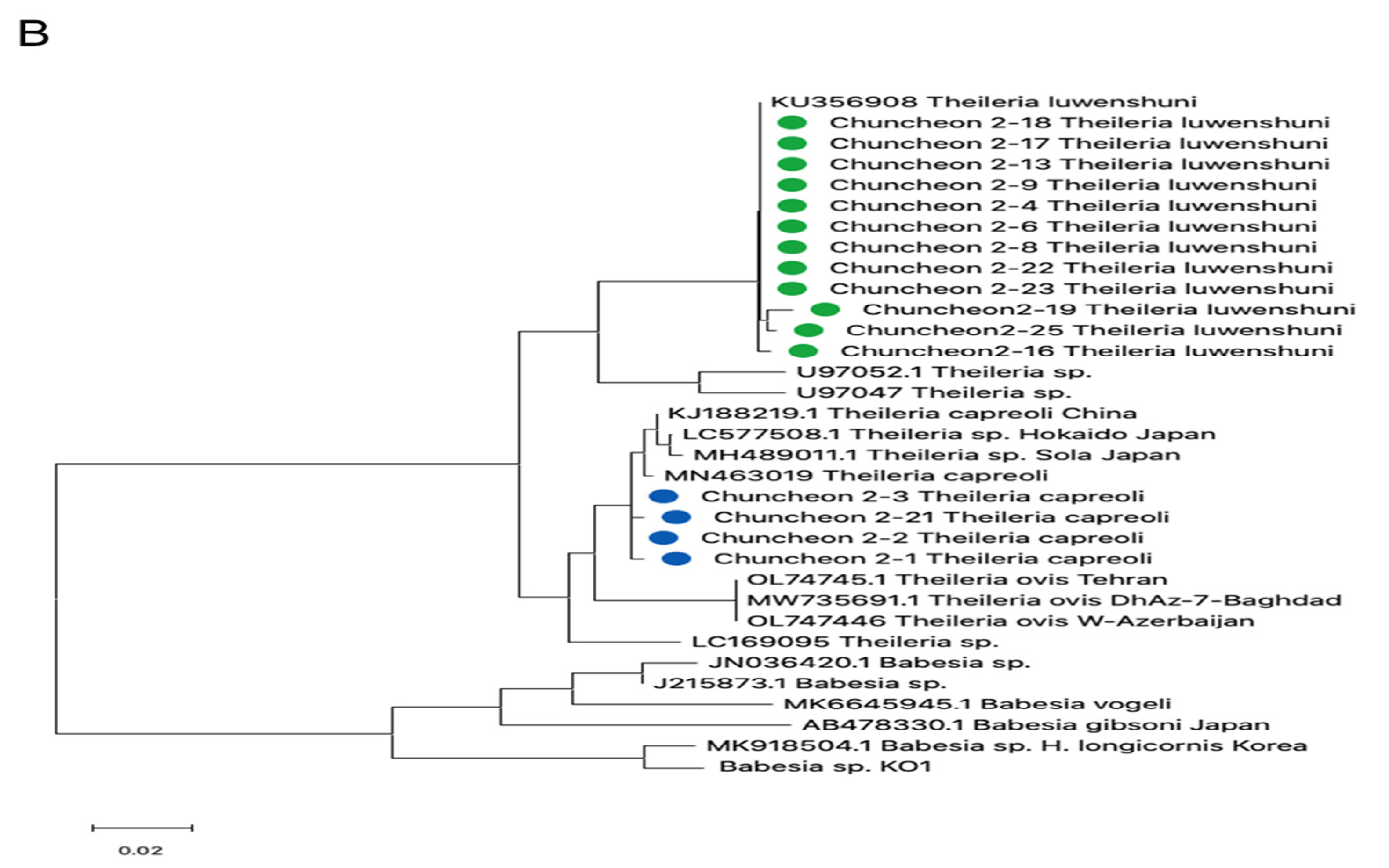 Pathogens 13 01079 g005b