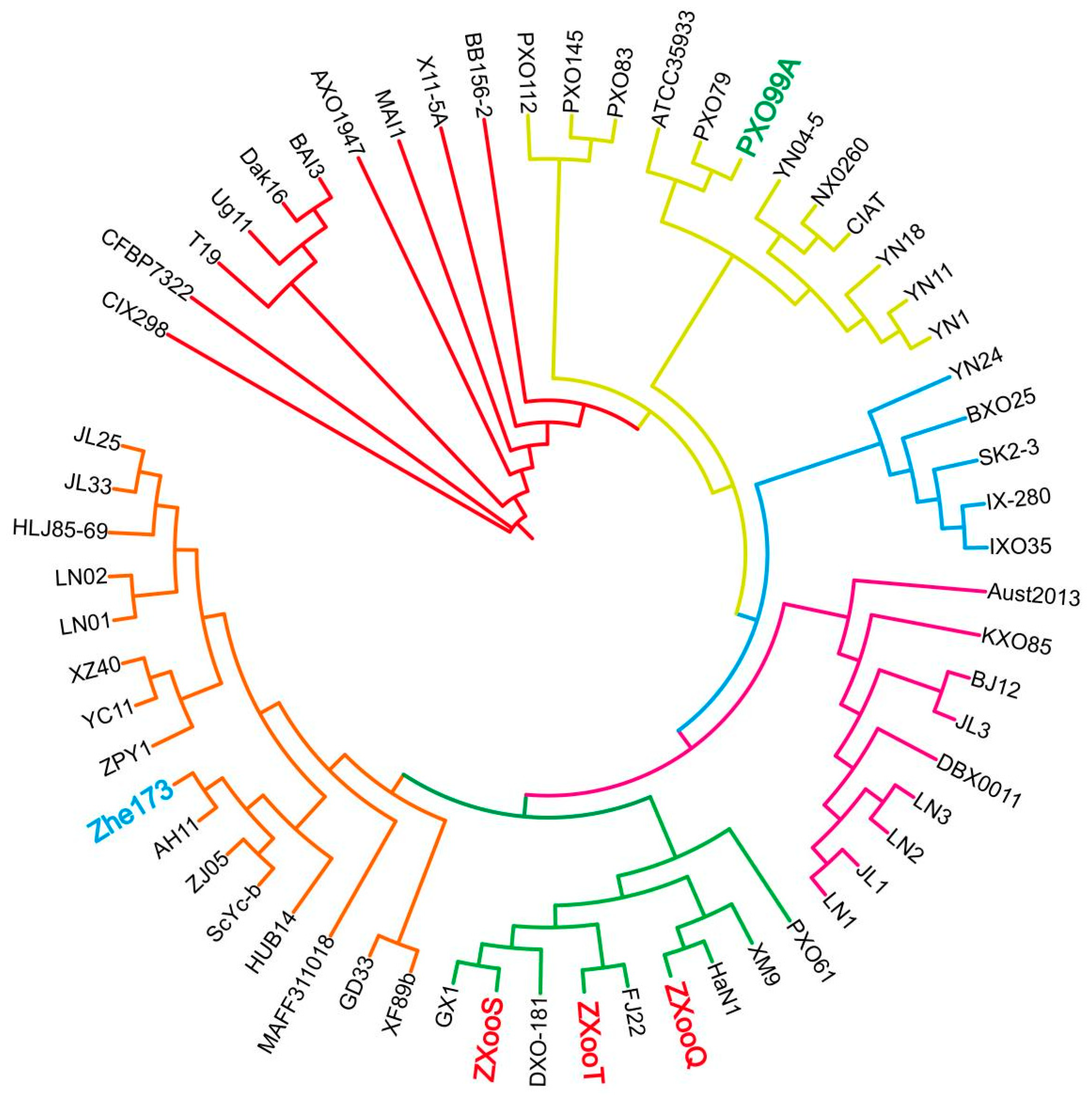 Pathogens 13 01083 g003