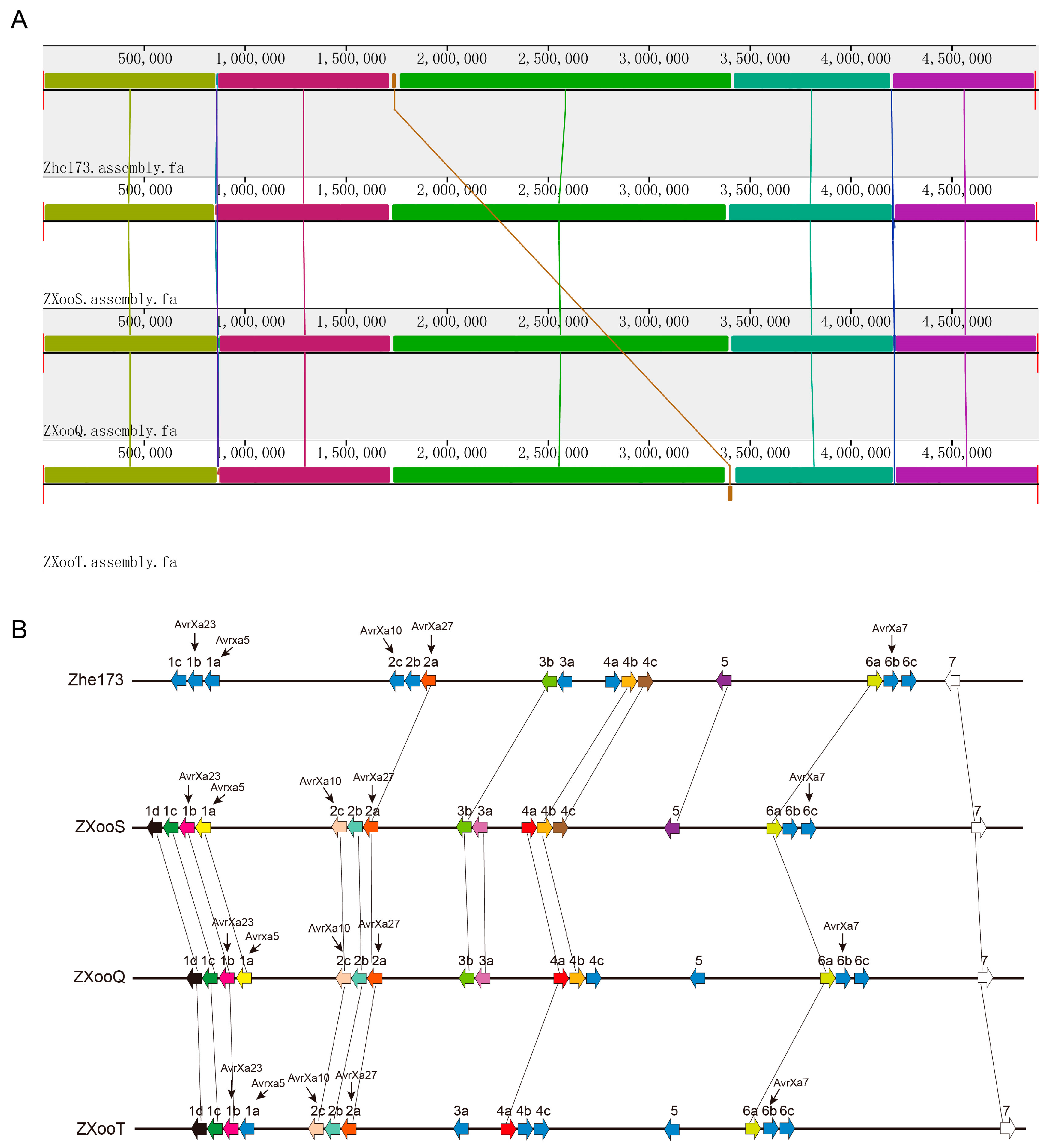 Pathogens 13 01083 g004