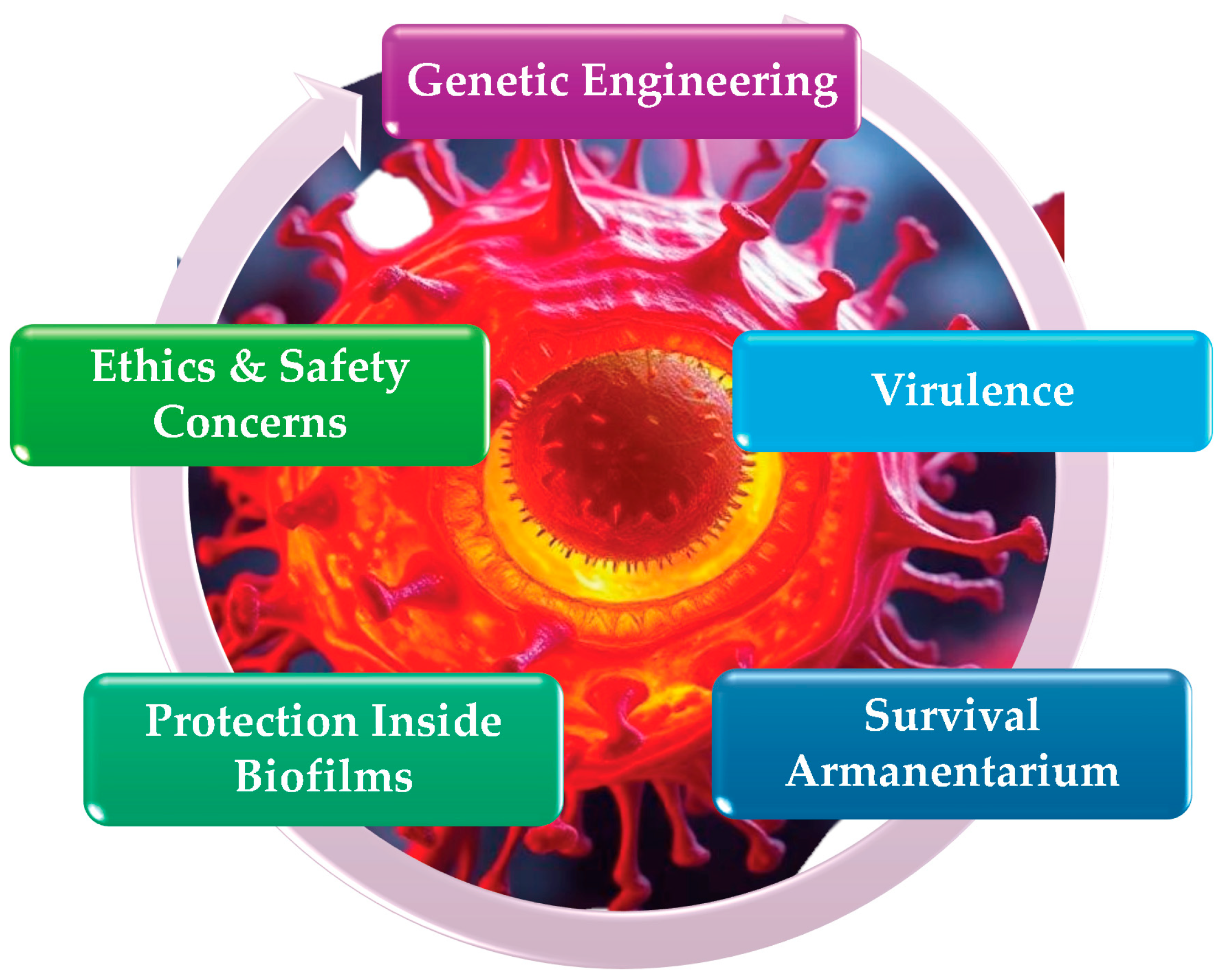 Pathogens 13 01084 g006