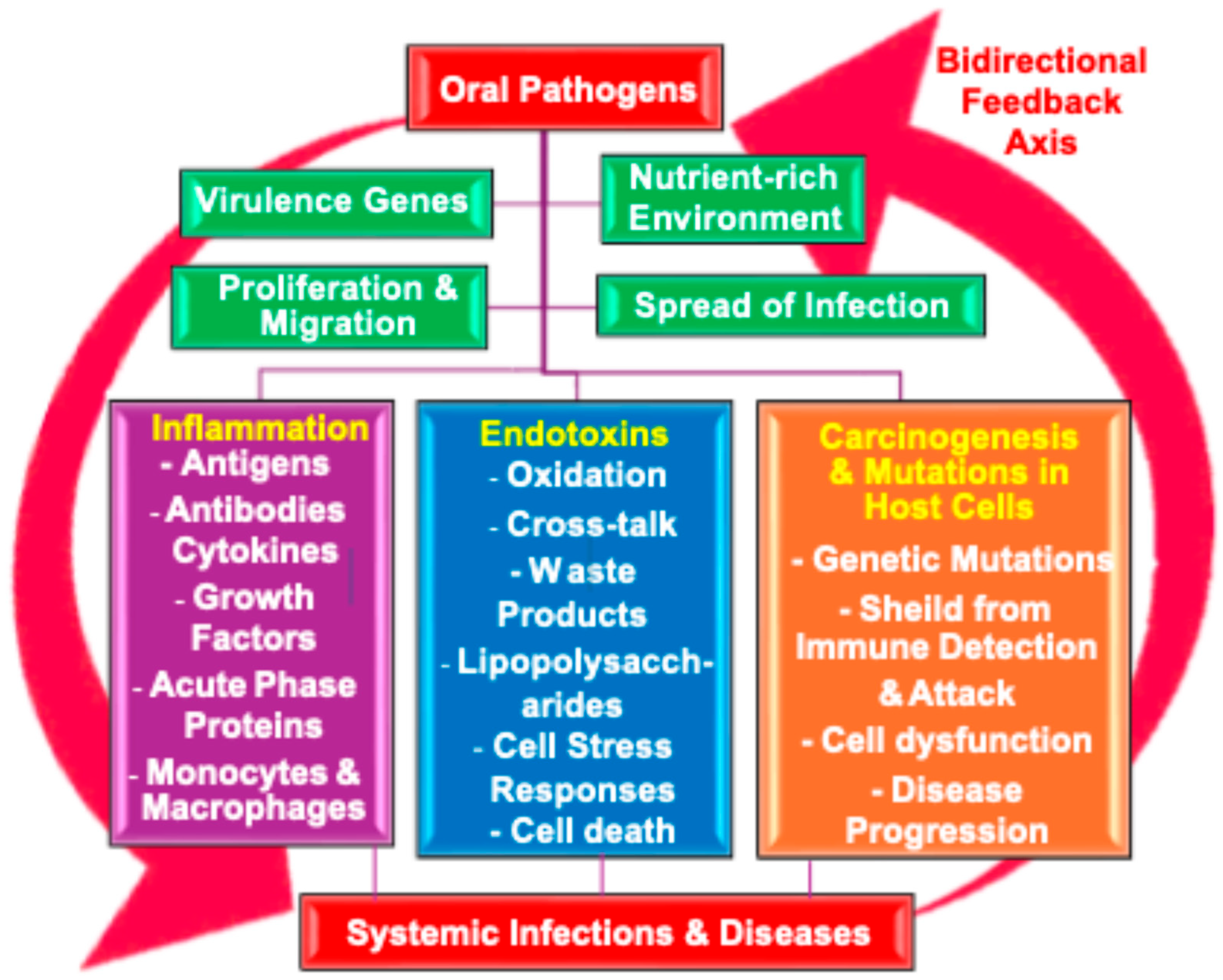 Pathogens 13 01084 g010