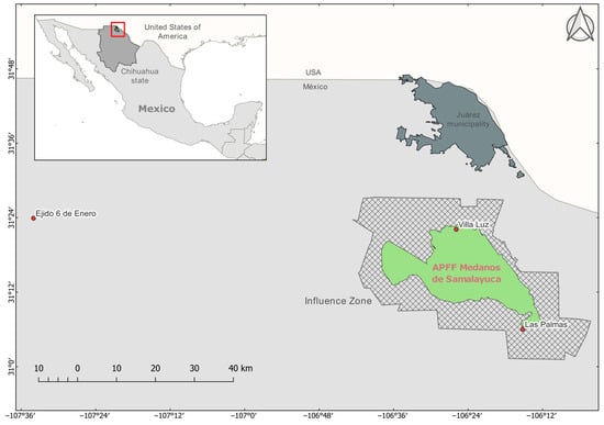 Pathogens 13 01085 g001