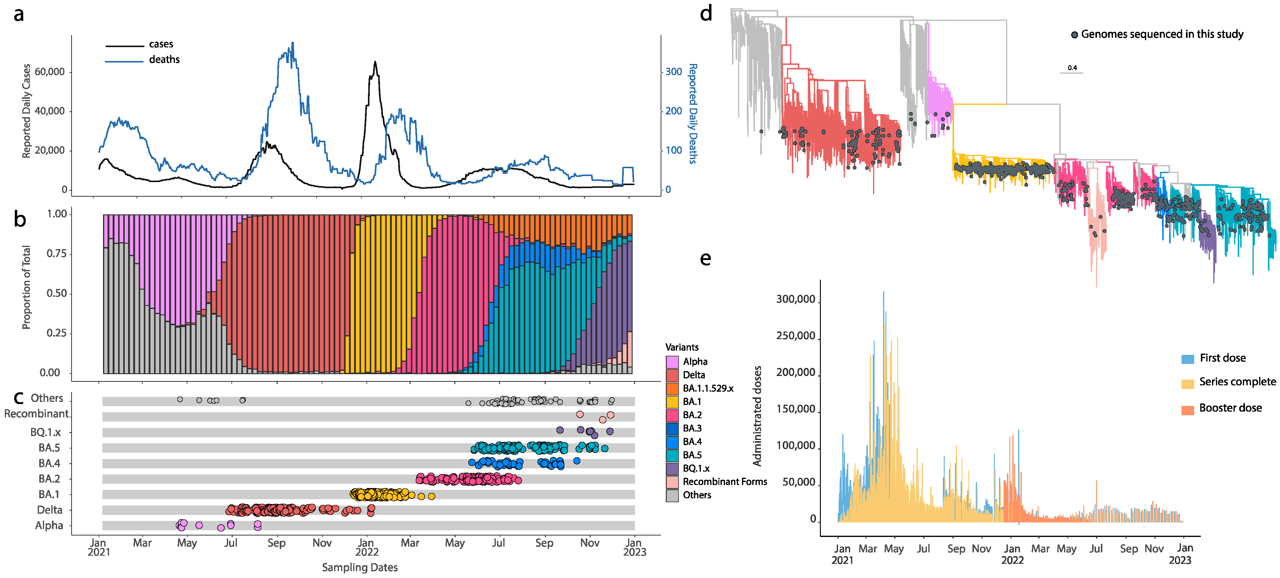 Pathogens 13 01095 g001