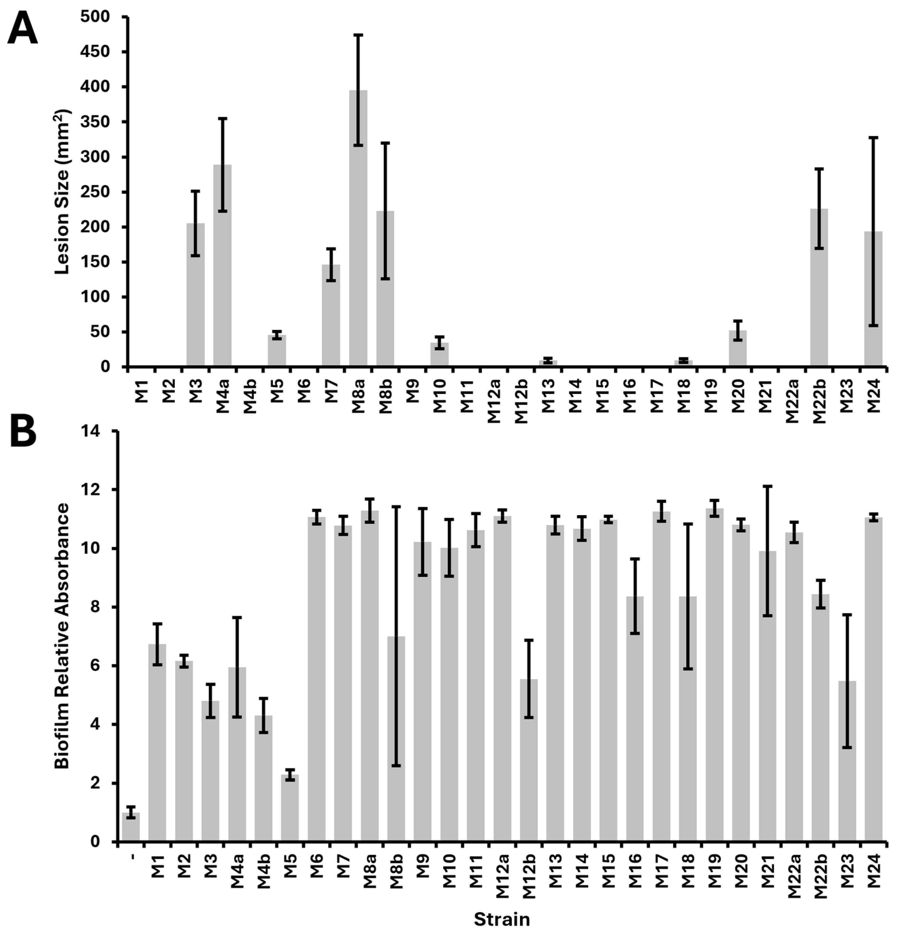Pathogens 13 01096 g001 Pathogens 13 01096 g001