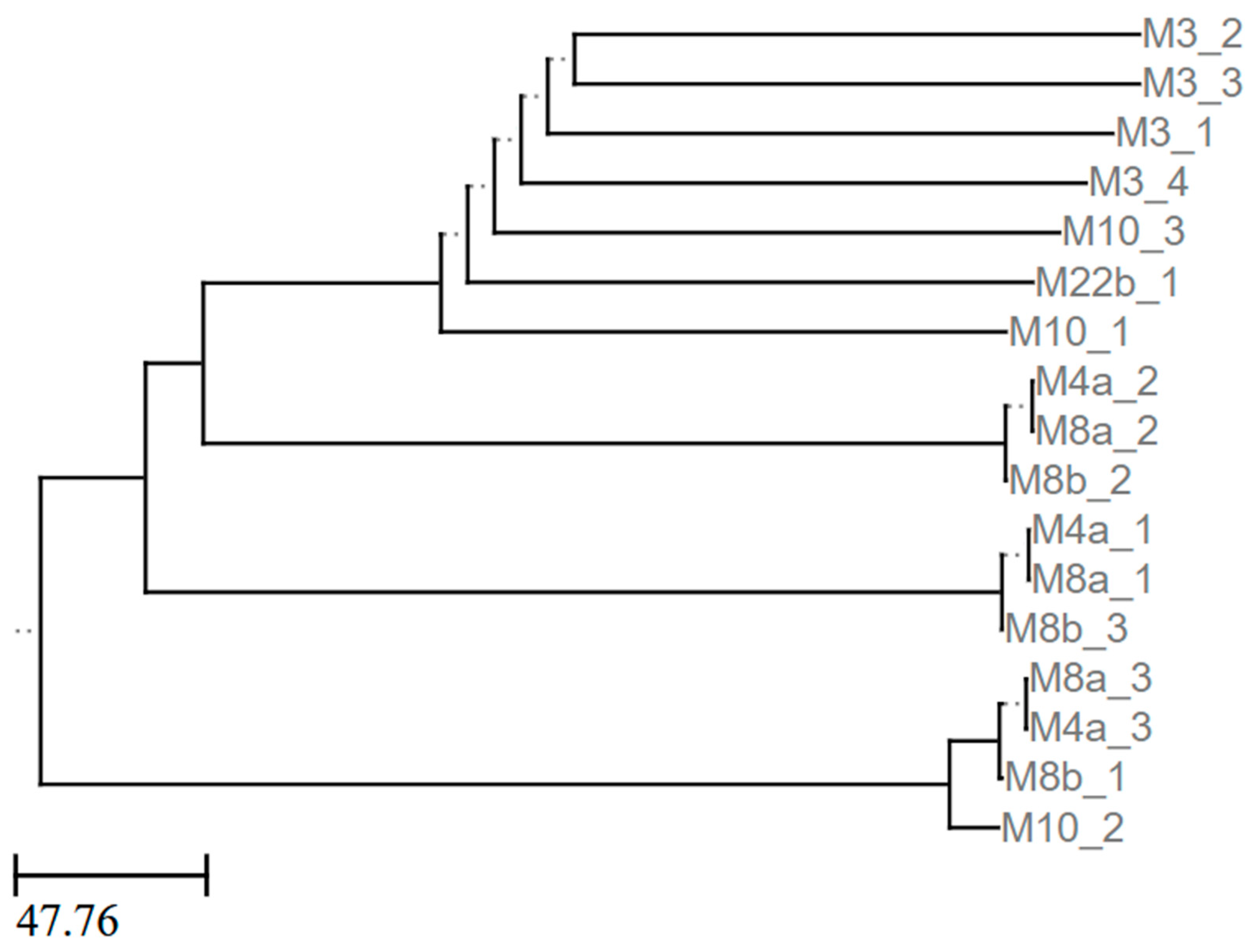 Pathogens 13 01096 g006 Pathogens 13 01096 g006
