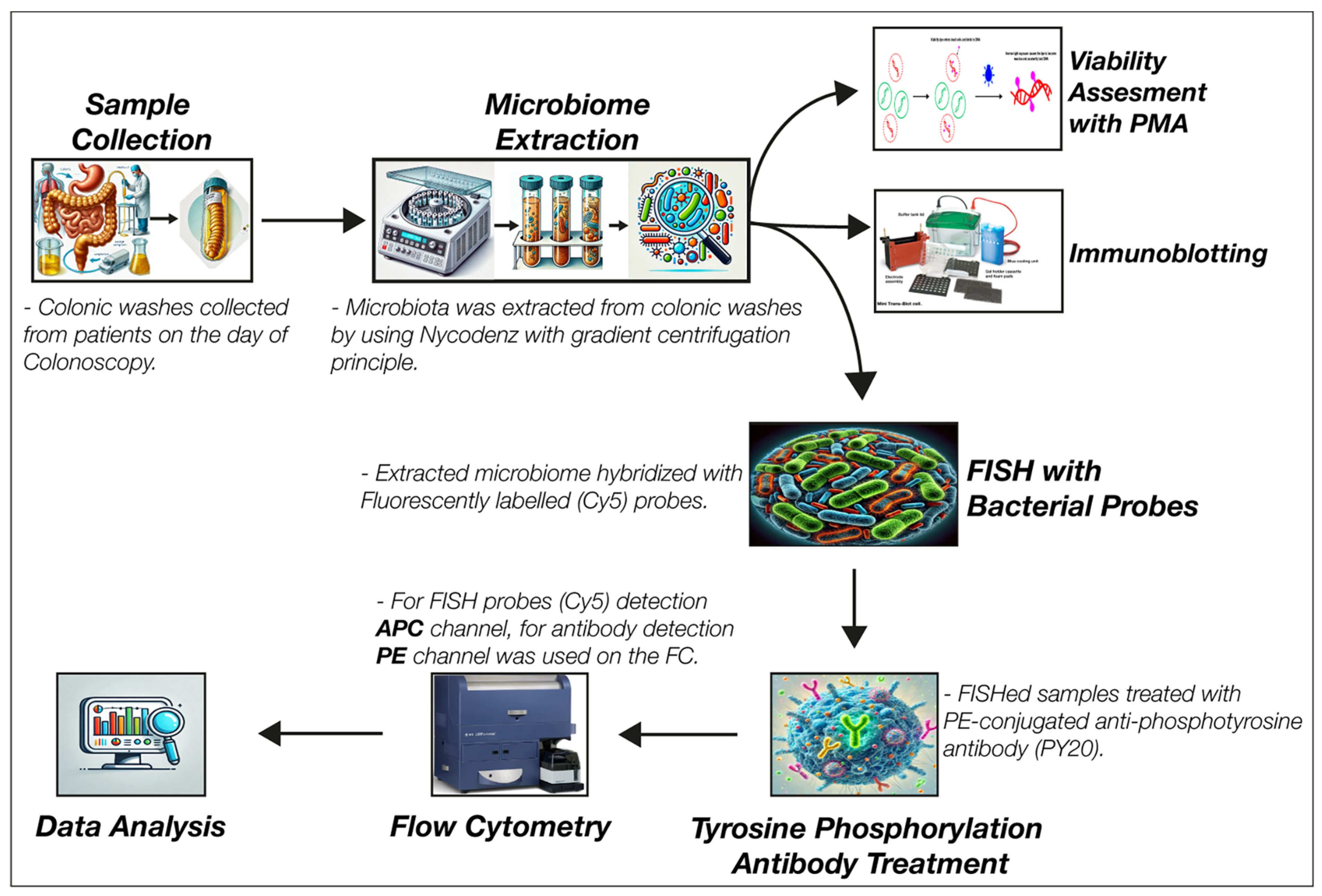 Pathogens 13 01102 g001 Pathogens 13 01102 g001