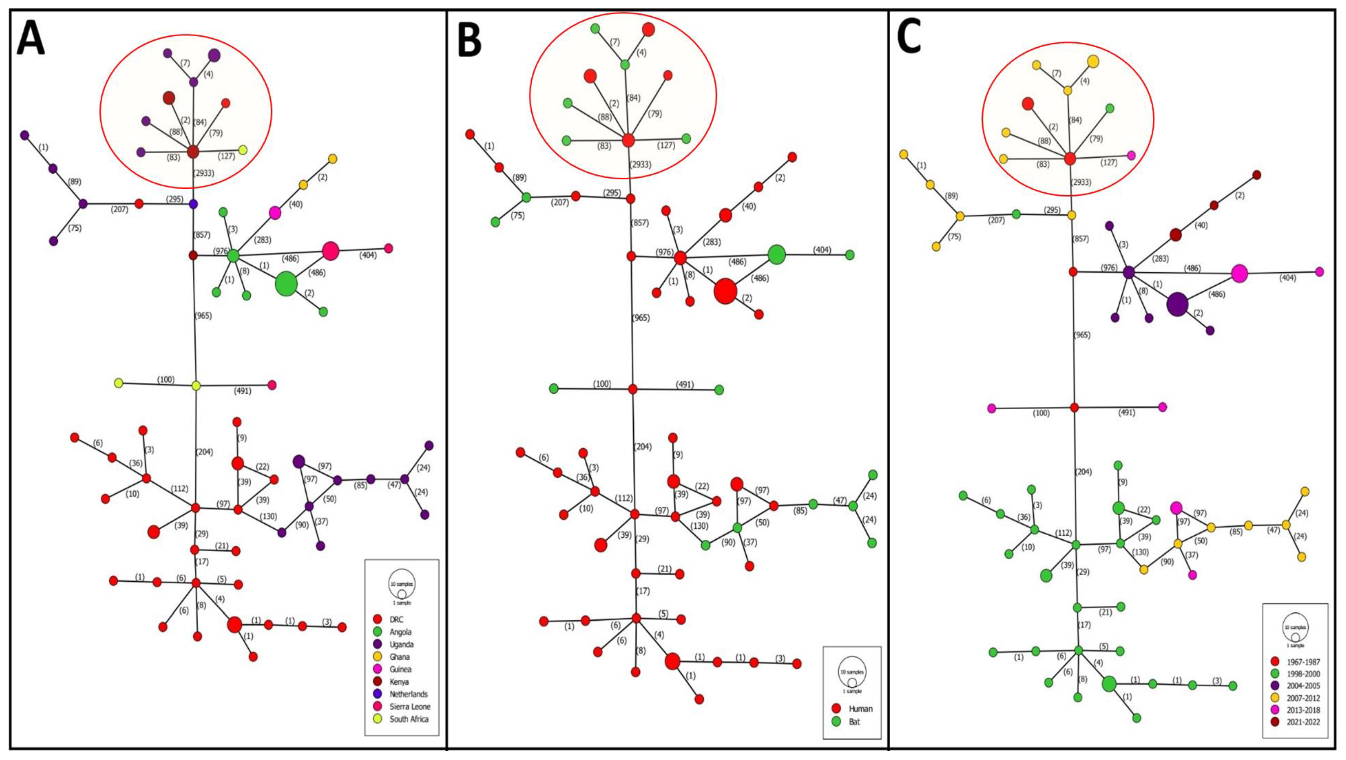 Pathogens 13 01107 g005